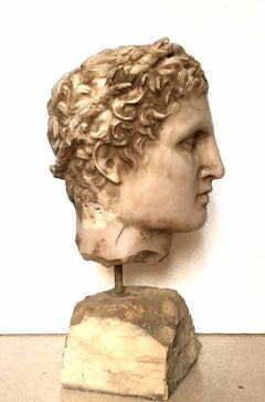 20th Century Classical Stone and Marble Dust Bust