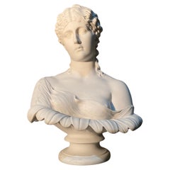 20th Century Clytie Bust Sculpture – Classical Elegance in Marble