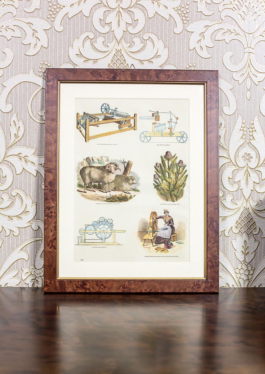 We present you this illustration printed from a book on textile manufacture; how to obtain and process linen and wool.
This is one of the five graphics from the series on this topic. Each item is framed in passe-partout and a wooden frame with