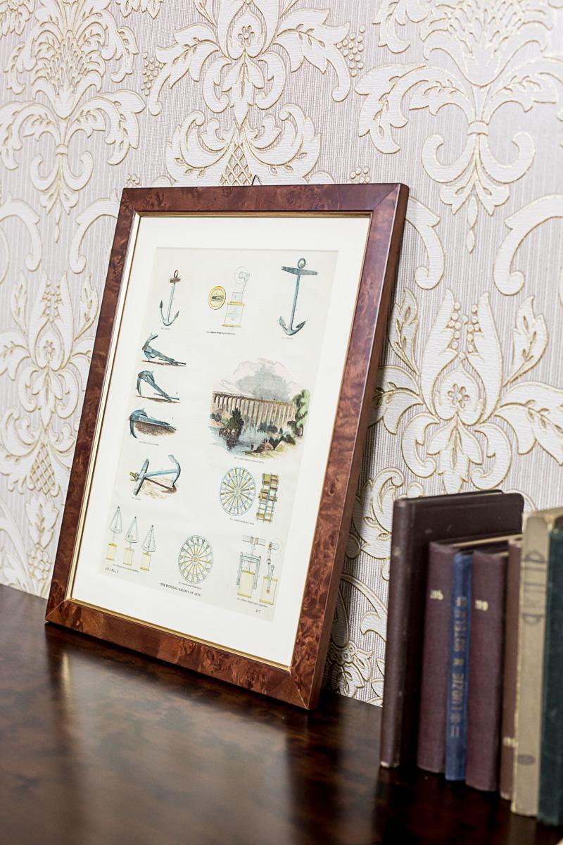 20th Century Colorful Print in a Frame, Anchors and More In Good Condition For Sale In Opole, PL