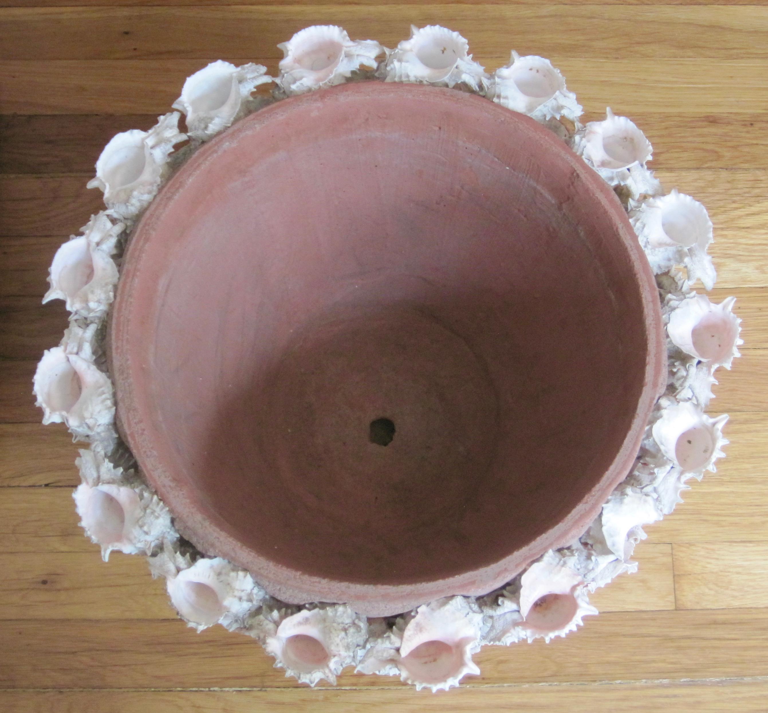 Conch Shell Encrusted Terra Cotta Planter Pot, 20th Century 4