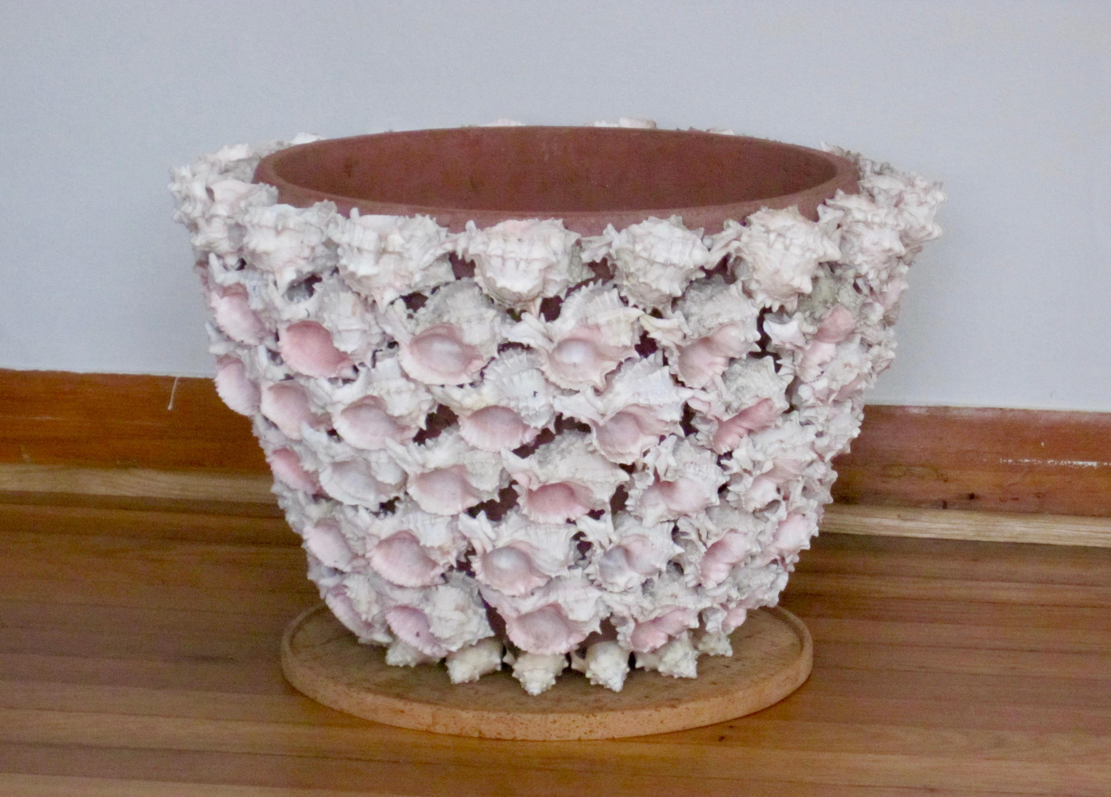 A hand-crafted, folk art conch shell encrusted terra cotta pot from the mid 20th century. Each individual shell has been adhered to a 1/4 inch terra cotta planter pot with care. Interior of pot is hand scraped.
Great coastal vibe and solid