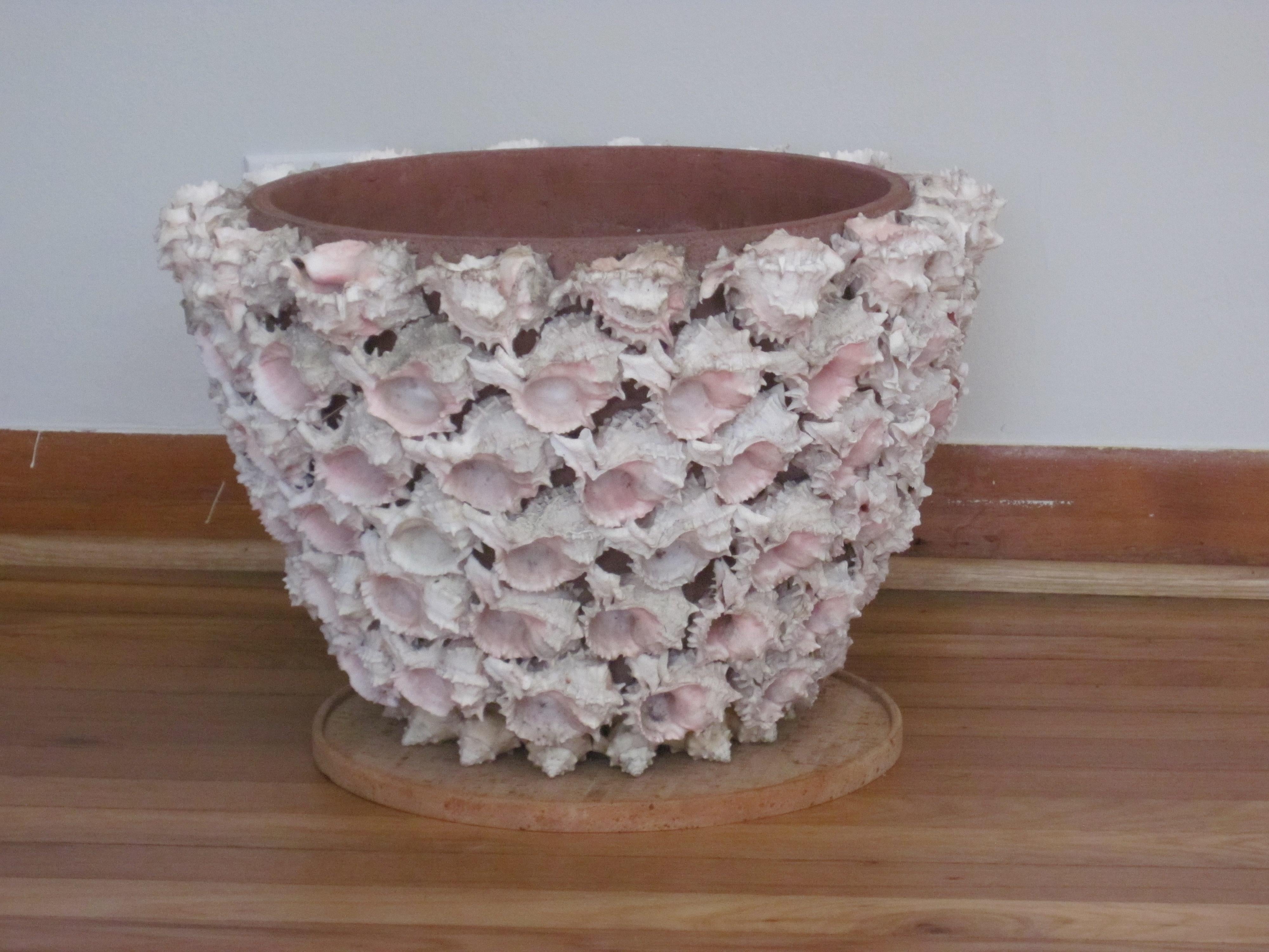 Hand-Crafted Conch Shell Encrusted Terra Cotta Planter Pot, 20th Century 