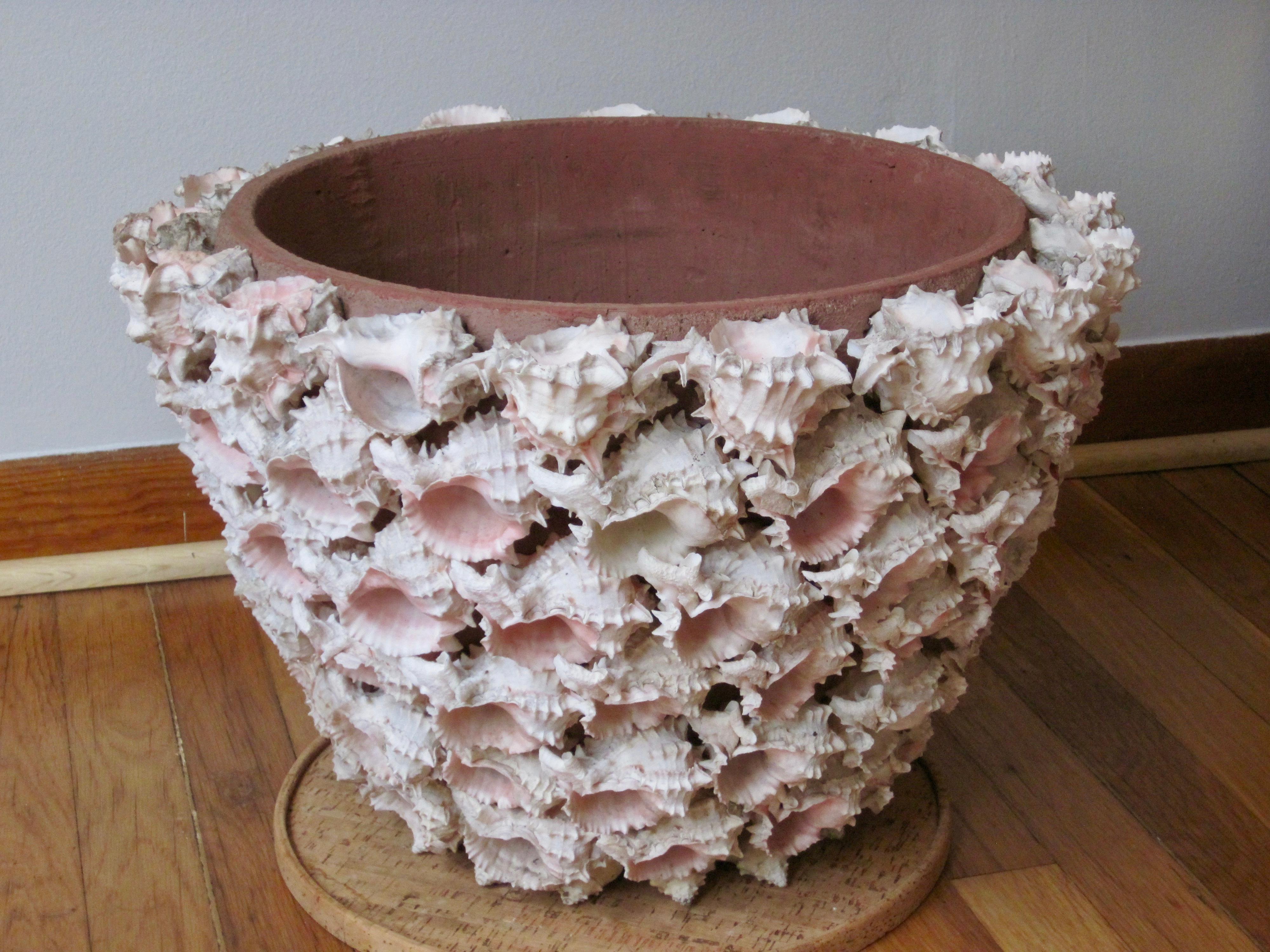 Conch Shell Encrusted Terra Cotta Planter Pot, 20th Century In Good Condition In Ferndale, MI