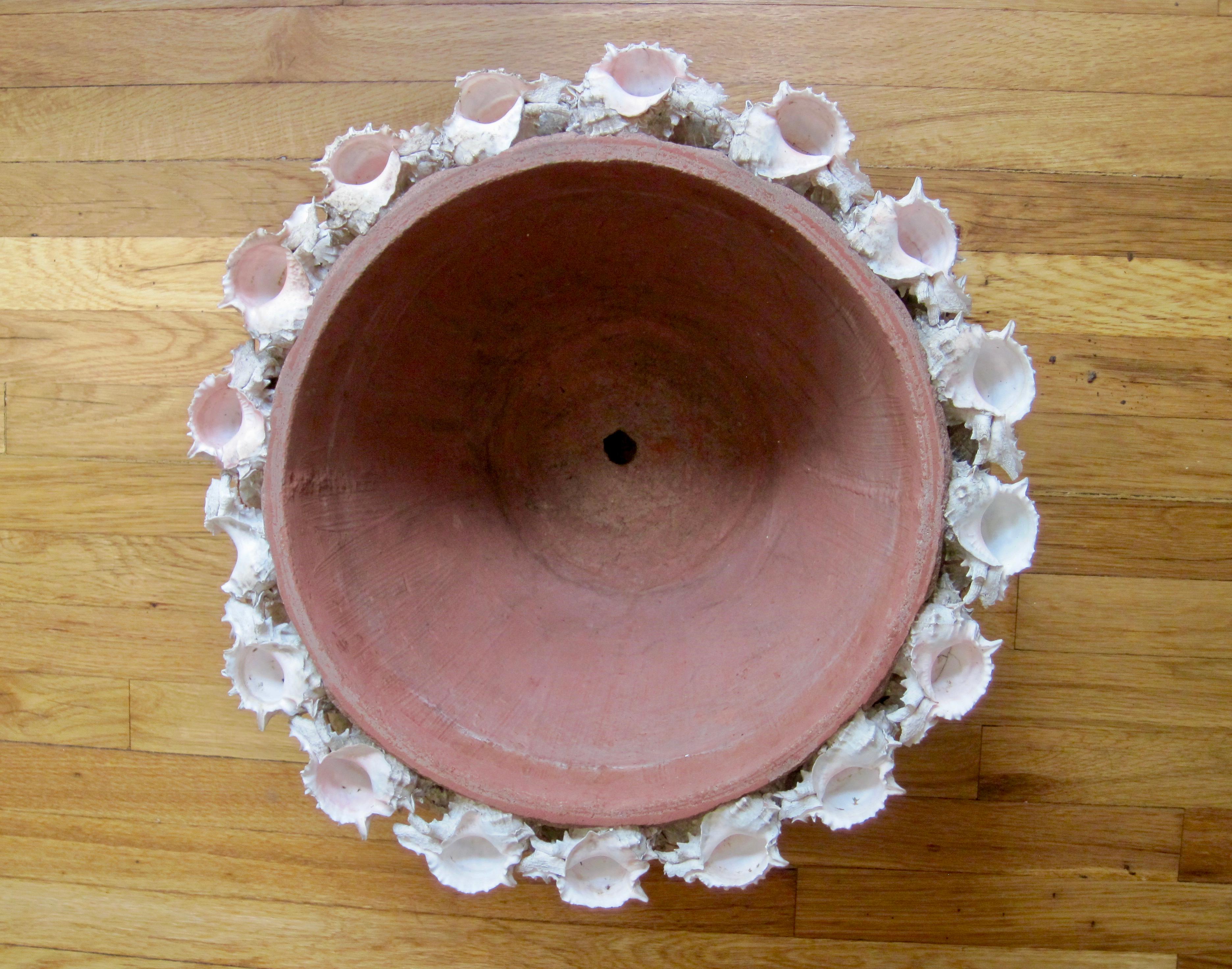 Conch Shell Encrusted Terra Cotta Planter Pot, 20th Century  3