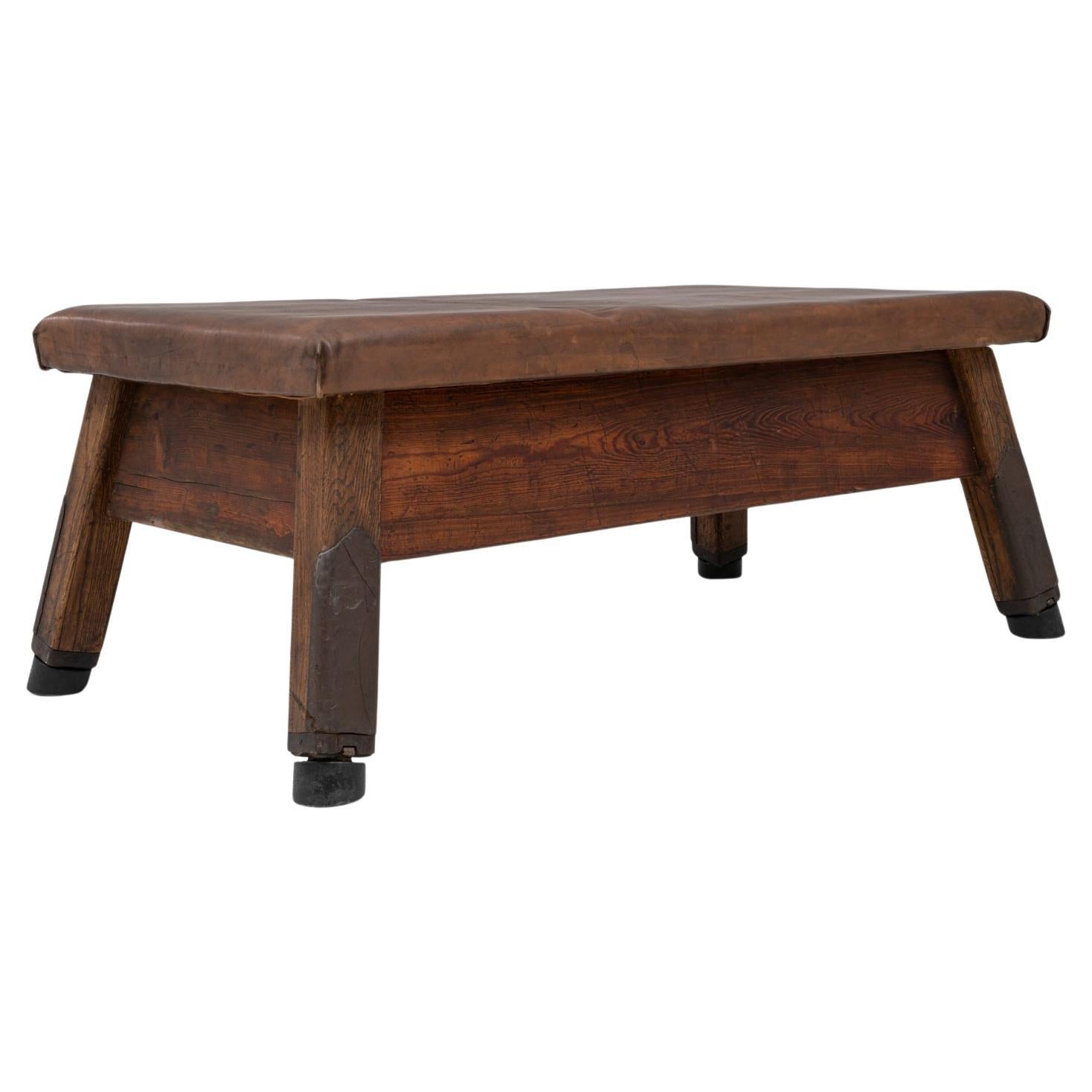 20th Century Czech Leather Gym Bench
