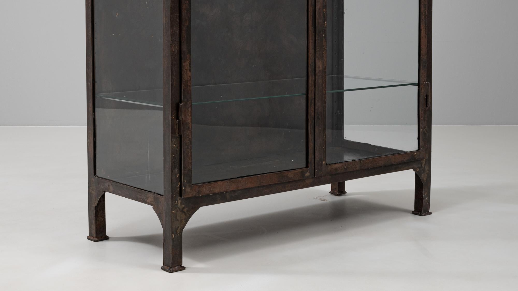 20th Century Czech Polished Medical Cabinet 6