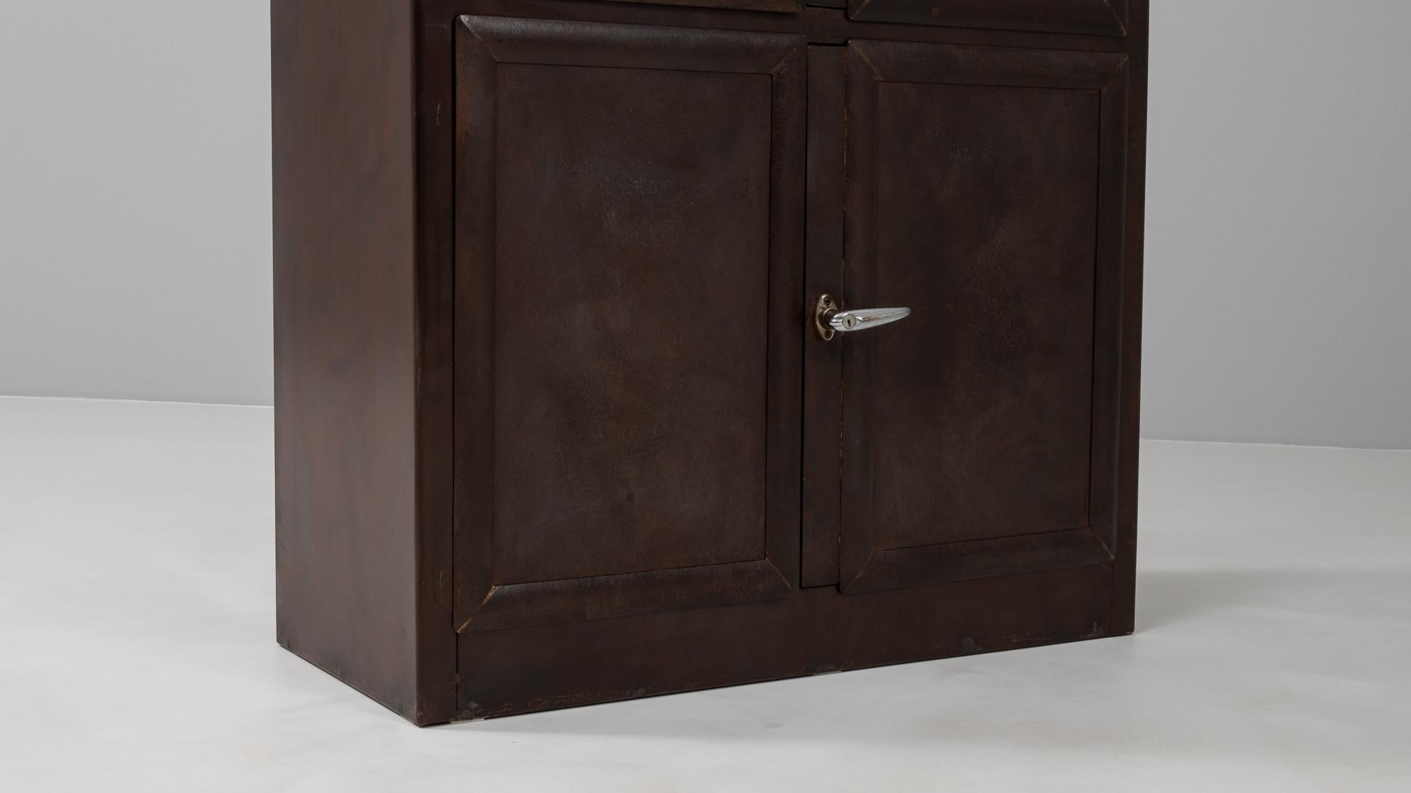 20th Century Czech Polished Medical Cabinet 6