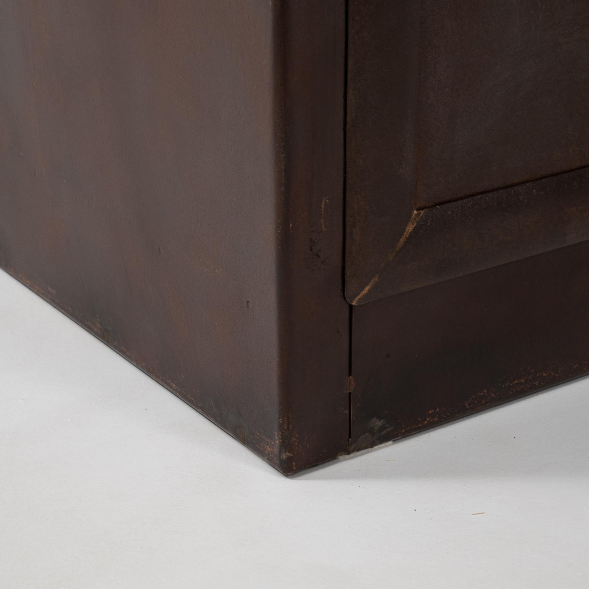 20th Century Czech Polished Medical Cabinet 7