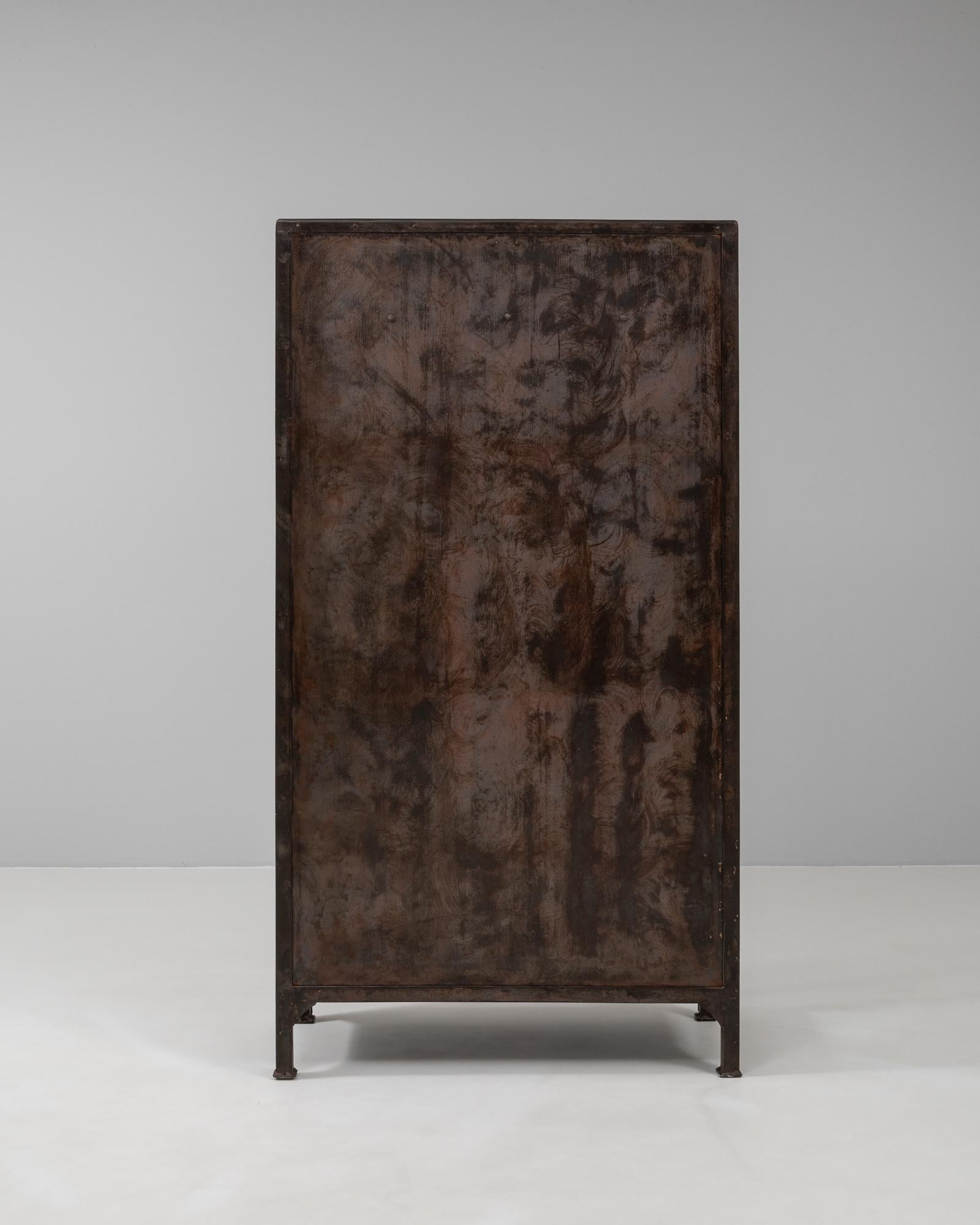20th Century Czech Polished Medical Cabinet 10