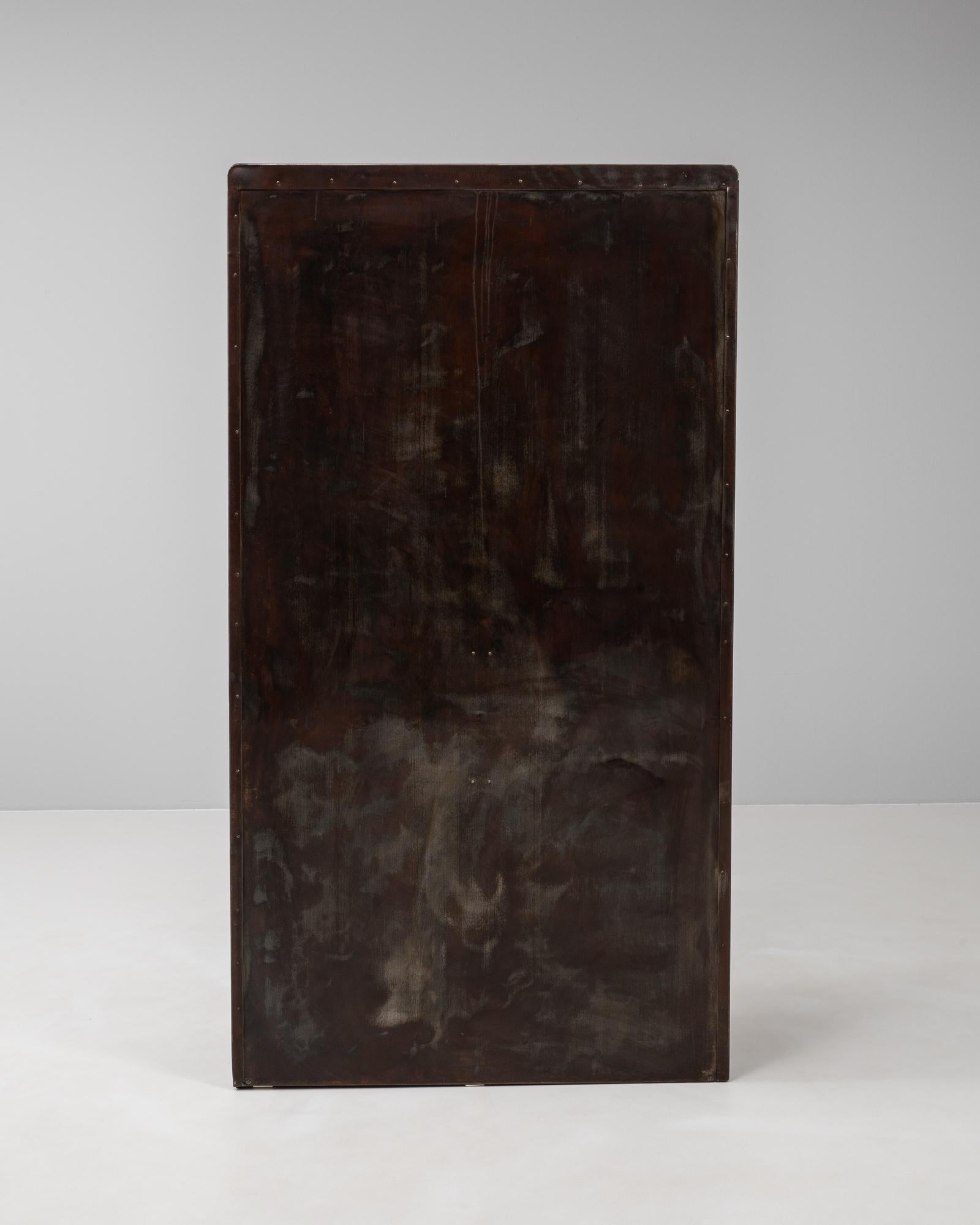 20th Century Czech Polished Medical Cabinet 13
