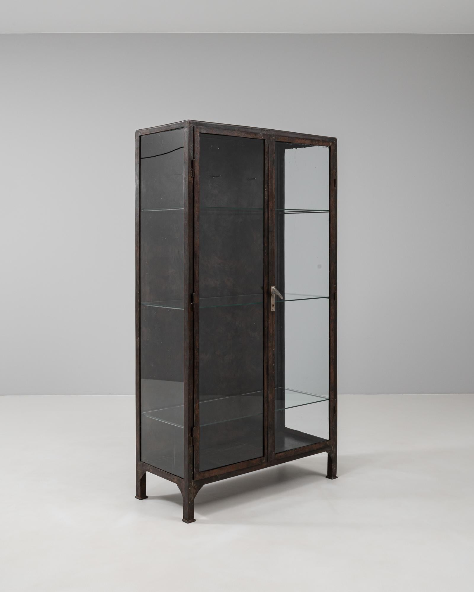 20th Century Czech Polished Medical Cabinet 1