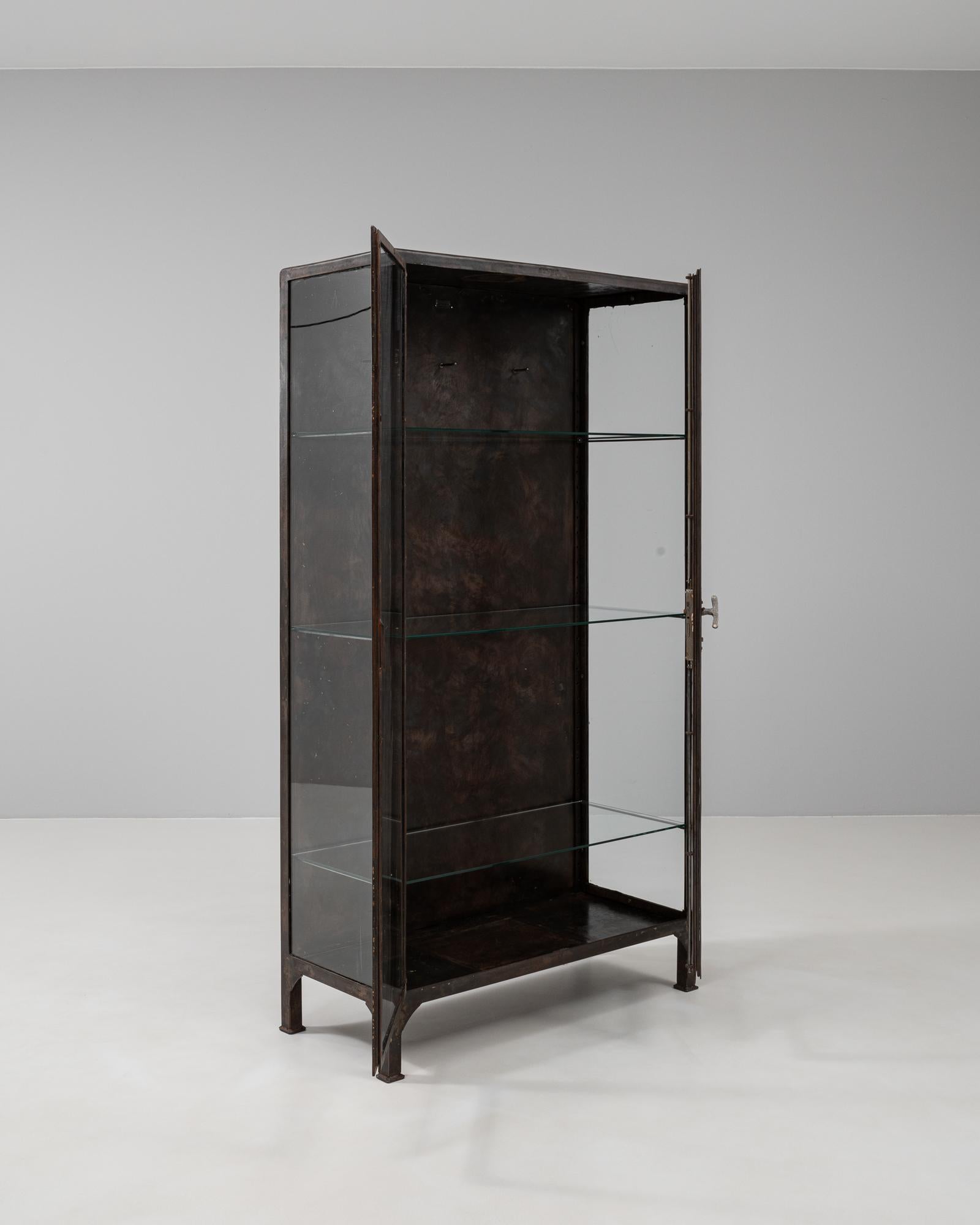 20th Century Czech Polished Medical Cabinet 2