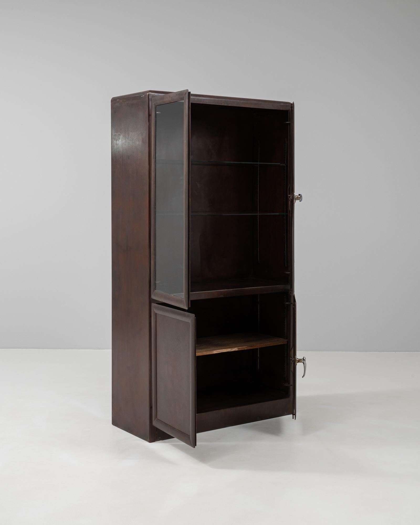 20th Century Czech Polished Medical Cabinet 2
