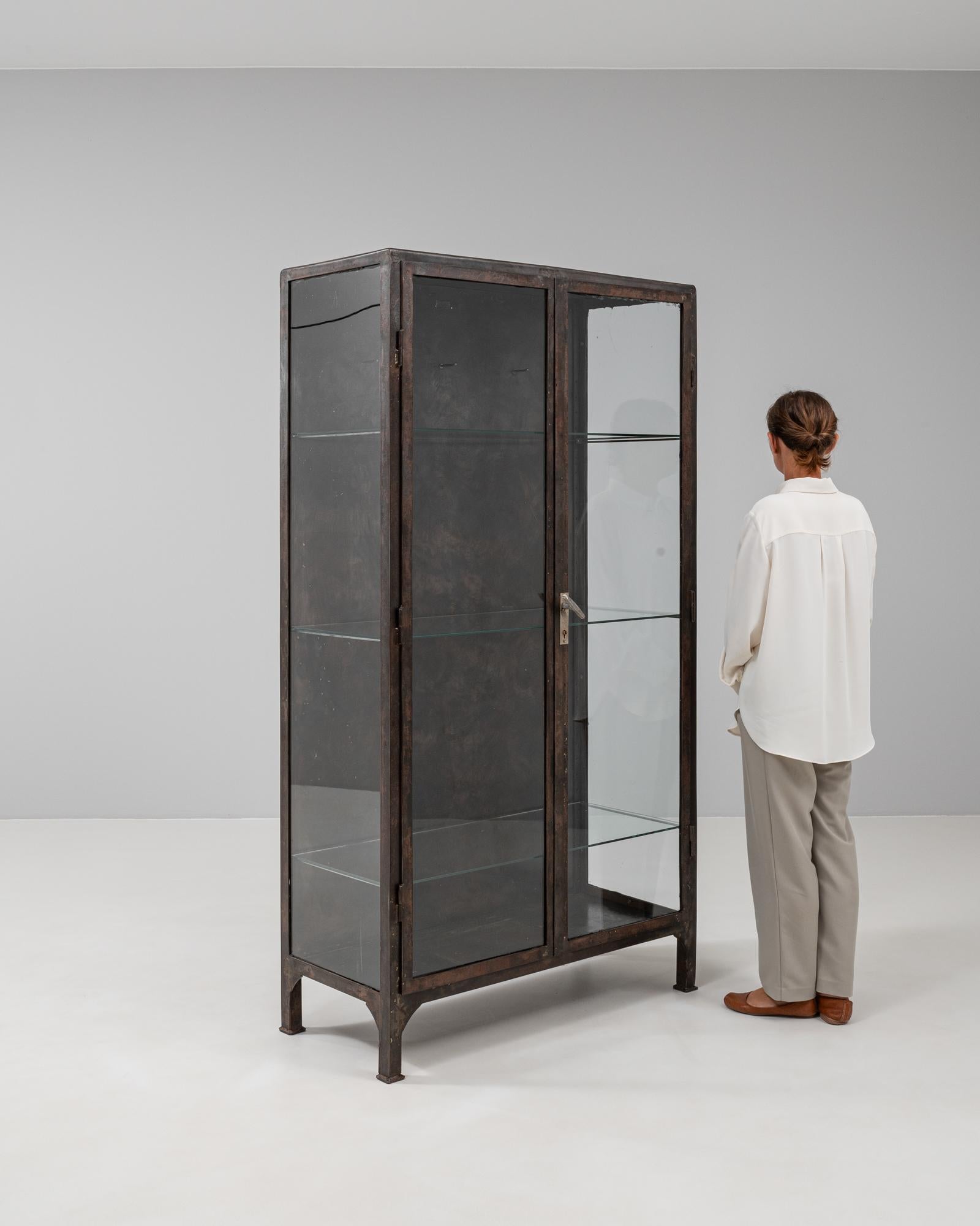 20th Century Czech Polished Medical Cabinet 3