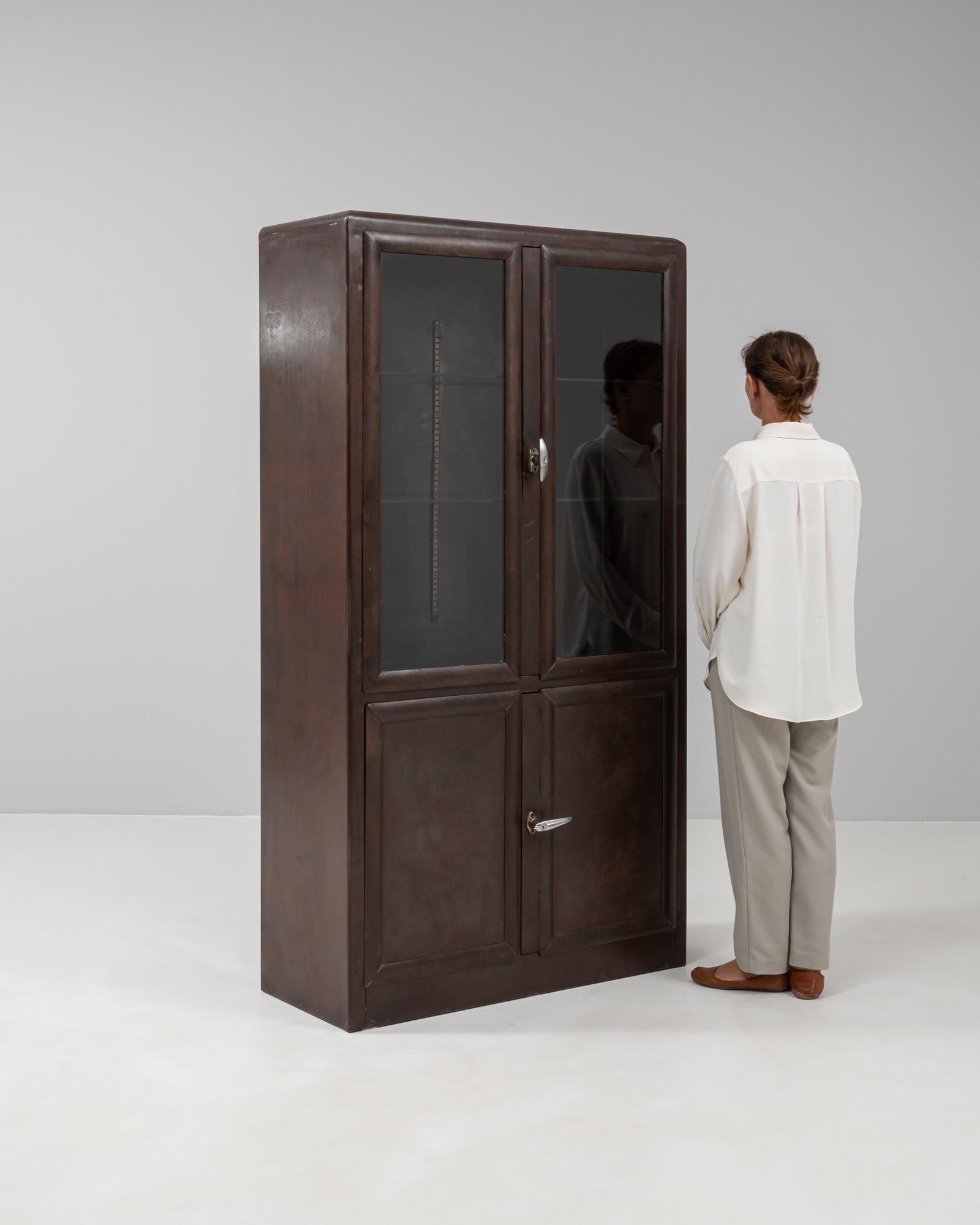20th Century Czech Polished Medical Cabinet 3
