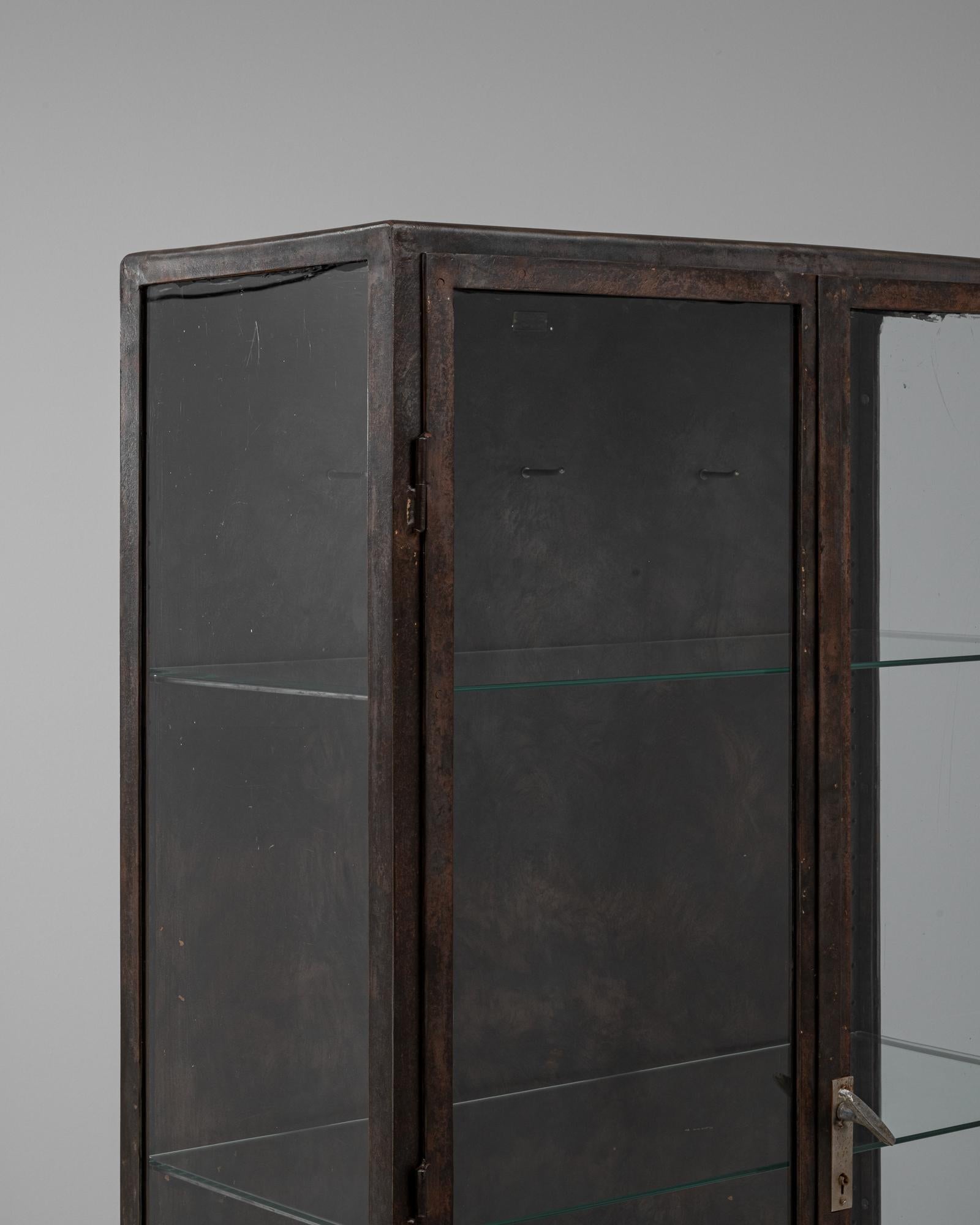 20th Century Czech Polished Medical Cabinet 4