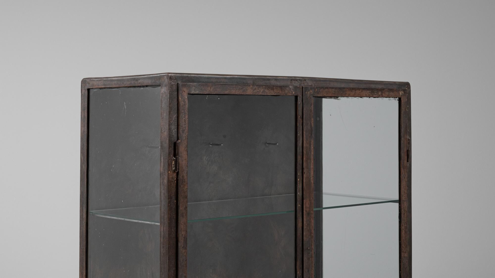 20th Century Czech Polished Medical Cabinet 5