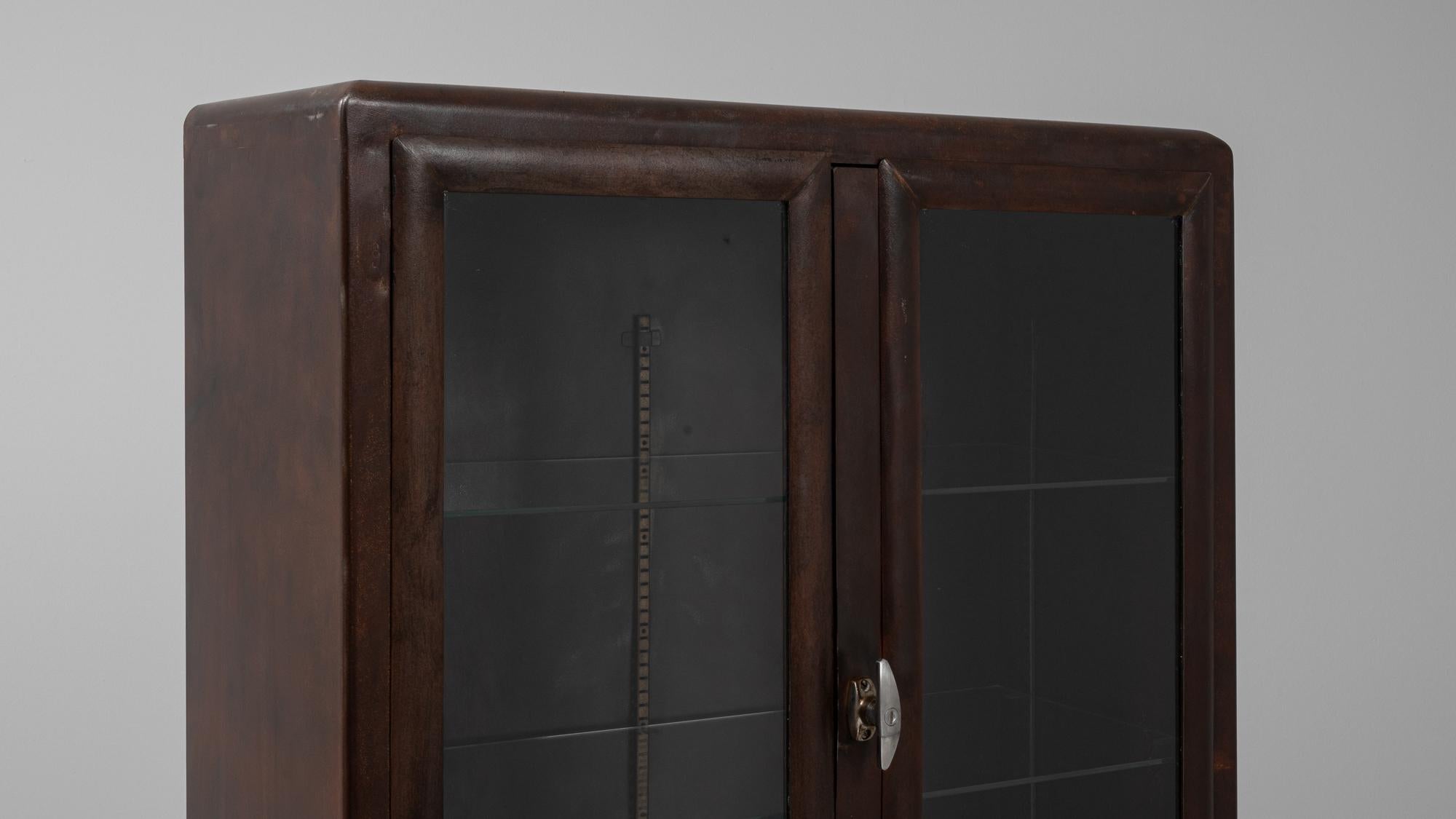 20th Century Czech Polished Medical Cabinet 5