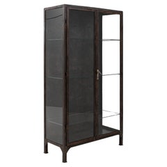 20th Century Czech Polished Medical Cabinet