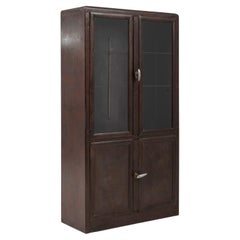 20th Century Czech Polished Medical Cabinet