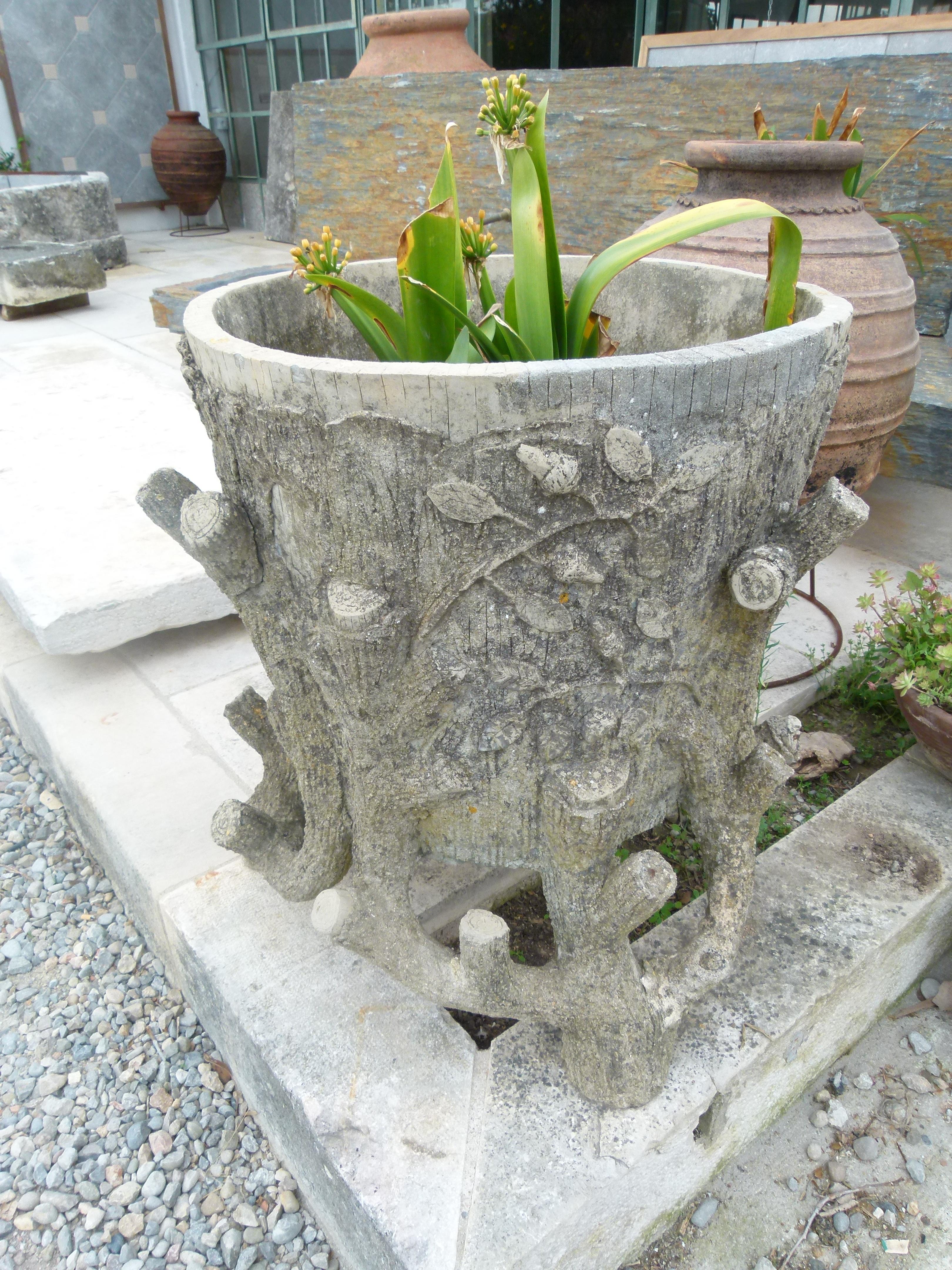 This French plant pot, made in the 1970s, is made of carved cement. Botanic ornaments as a tree's trunk, some leaves, or roots adorn the pot.
Nowadays, this type of decorative garden objects, made of cement or mortar are getting very popular and