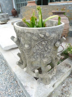 20th Century Decorative French Cement Plant Pot