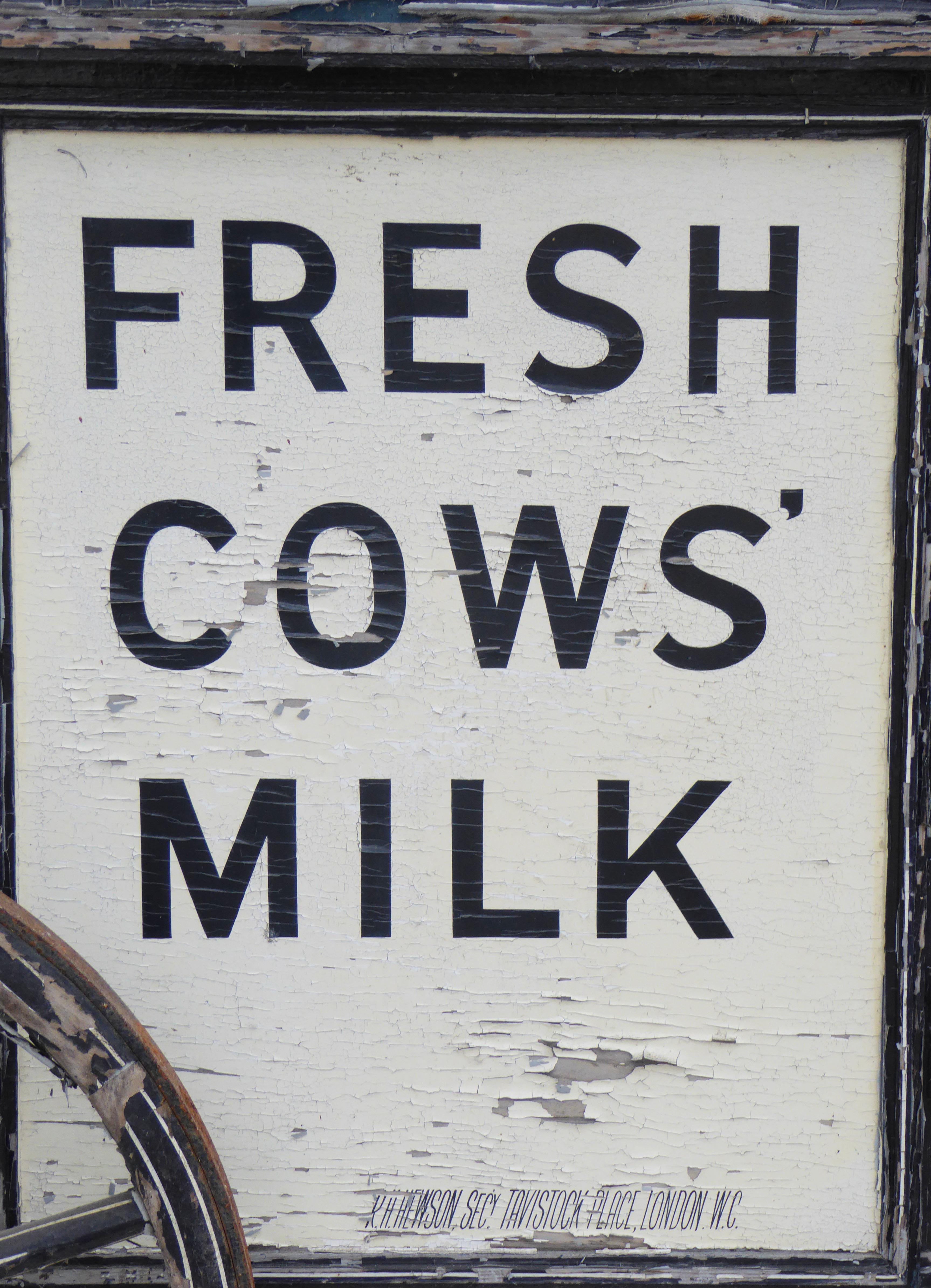 20th Century Edwardian Hand Pulled Milk Cart 