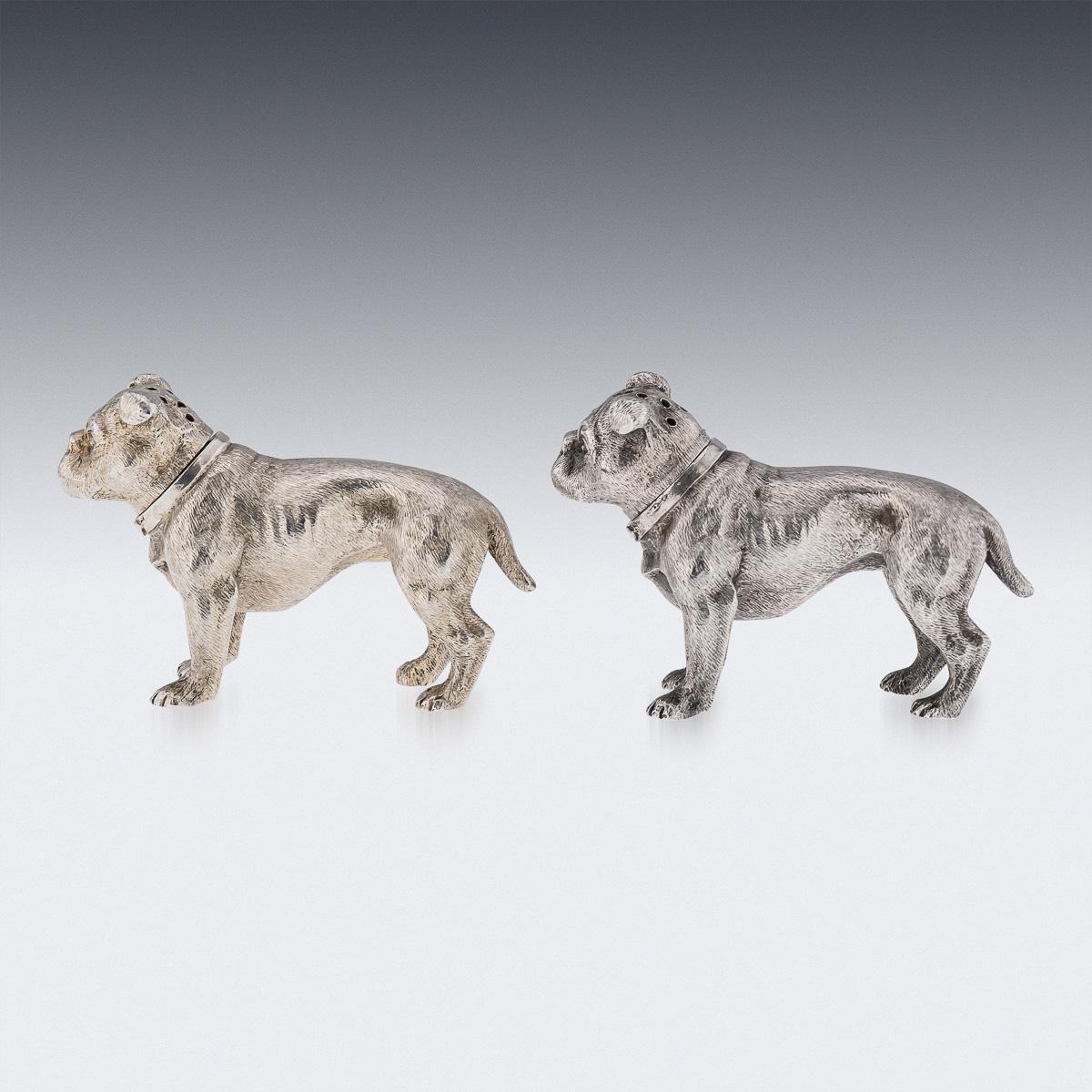 Antique early 20th Century Edwardian very rare novelty cast solid silver pair of salts, realistically modelled as a bulldog, with pull off heads. Heads hallmarked English silver (925 standard), London, year 1908 (n), Maker WH (William Edward