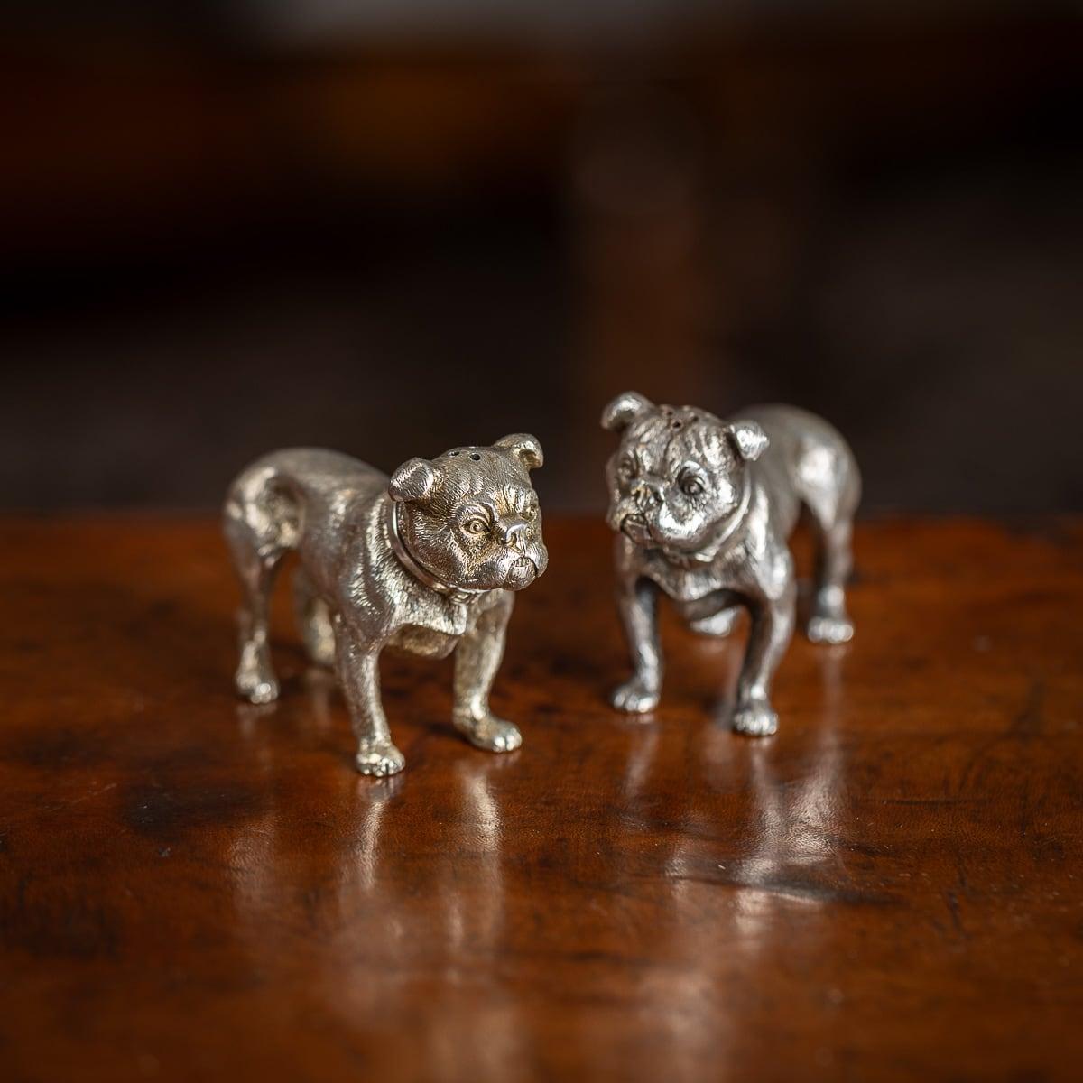 Ancienne paire de sels en argent massif moulé du début du 20e siècle de l'époque édouardienne, très rare, modélisée de façon réaliste comme un bouledogue, avec des têtes amovibles. Les têtes sont en argent anglais poinçonné (925 standard), Londres,