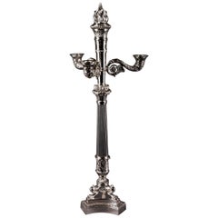 20th Century Empire Style Bronze Silvered Three Claw-Feet French Candelabra