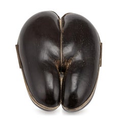 20th Century English Made Coco De Mer Nut Mounted Box c.1900