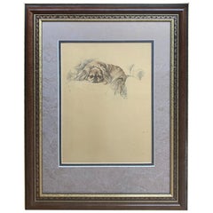 20th Century Engraving of Pekingese in Giltwood Frame, Unsigned