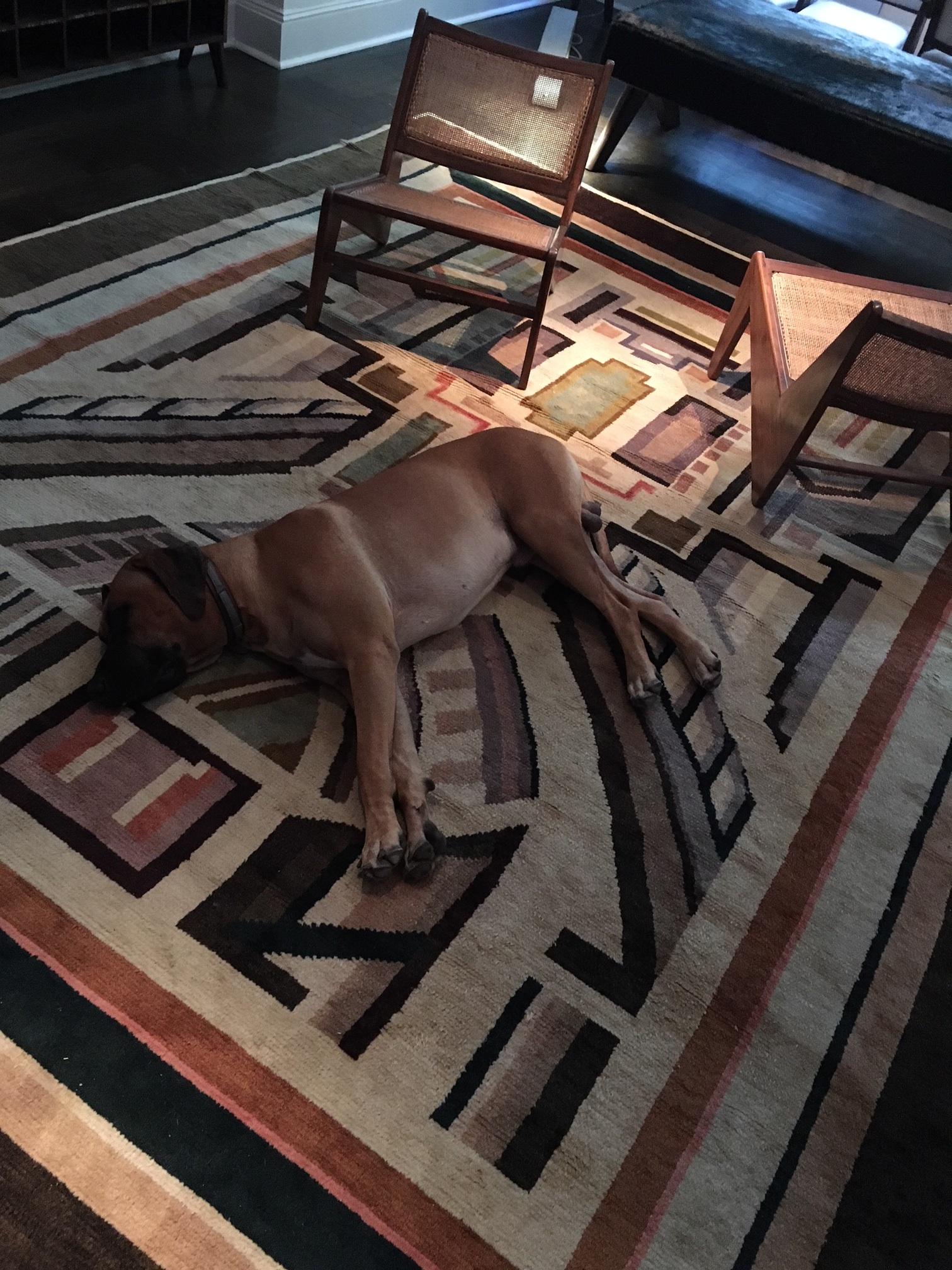 Wool 20th Century European Rug