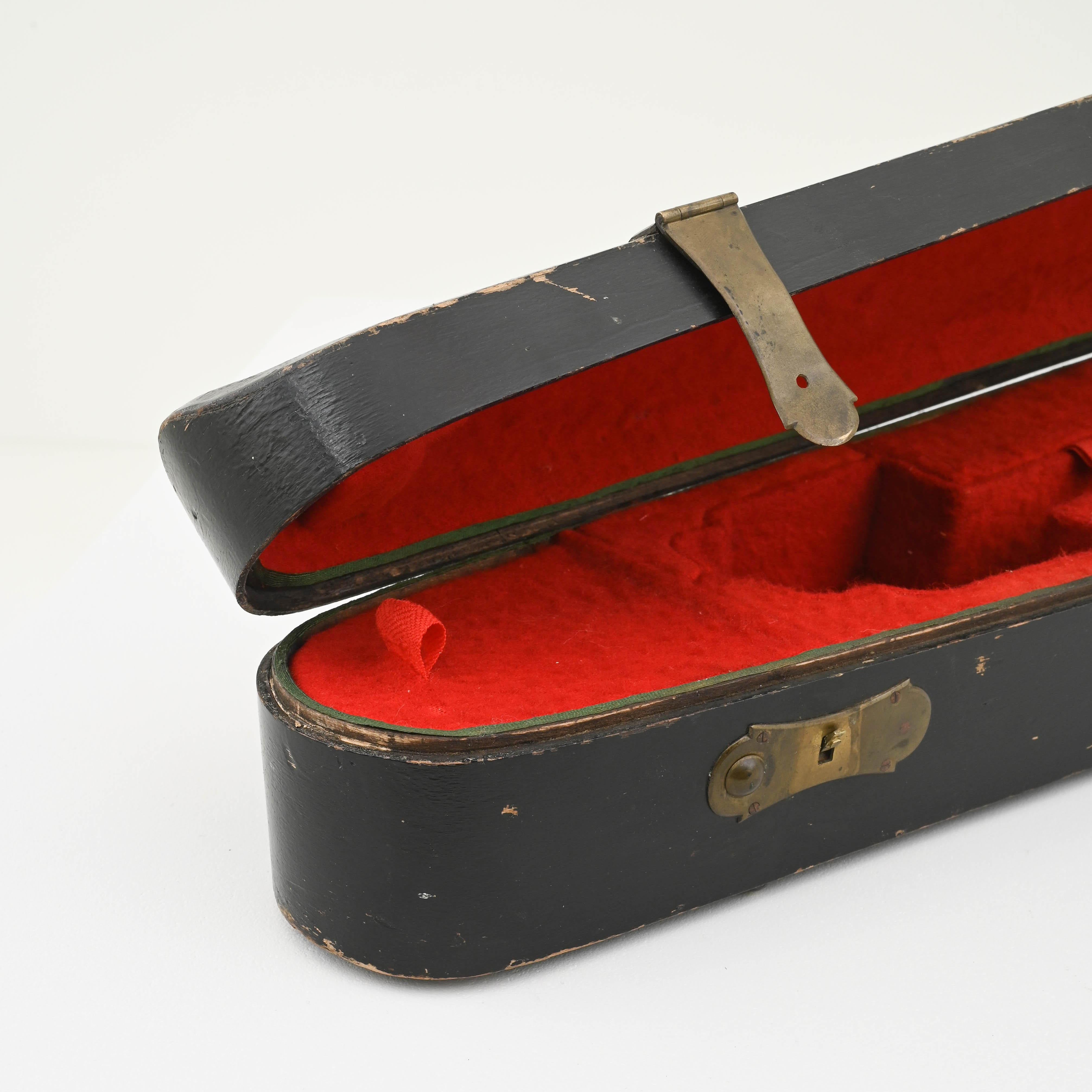 20th Century European Wooden Instrument Case For Sale 9