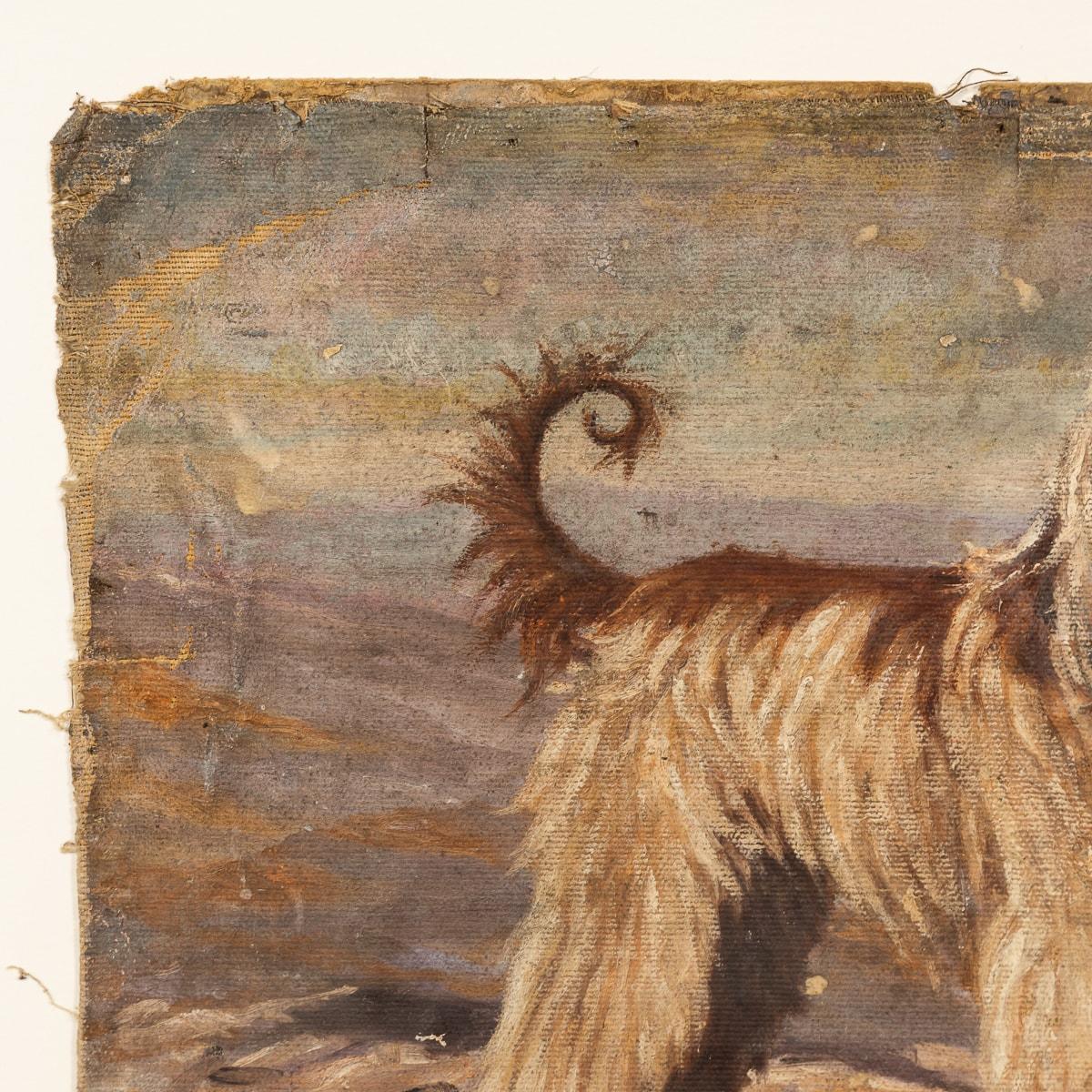 An antique 20th Century oil on canvas piece by Frederick Thomas Daws portraying an Afghan Hound. Daws, famed for his depictions of champion dogs created this piece in the 1930's in England. This piece is signed by the artist. This rare and