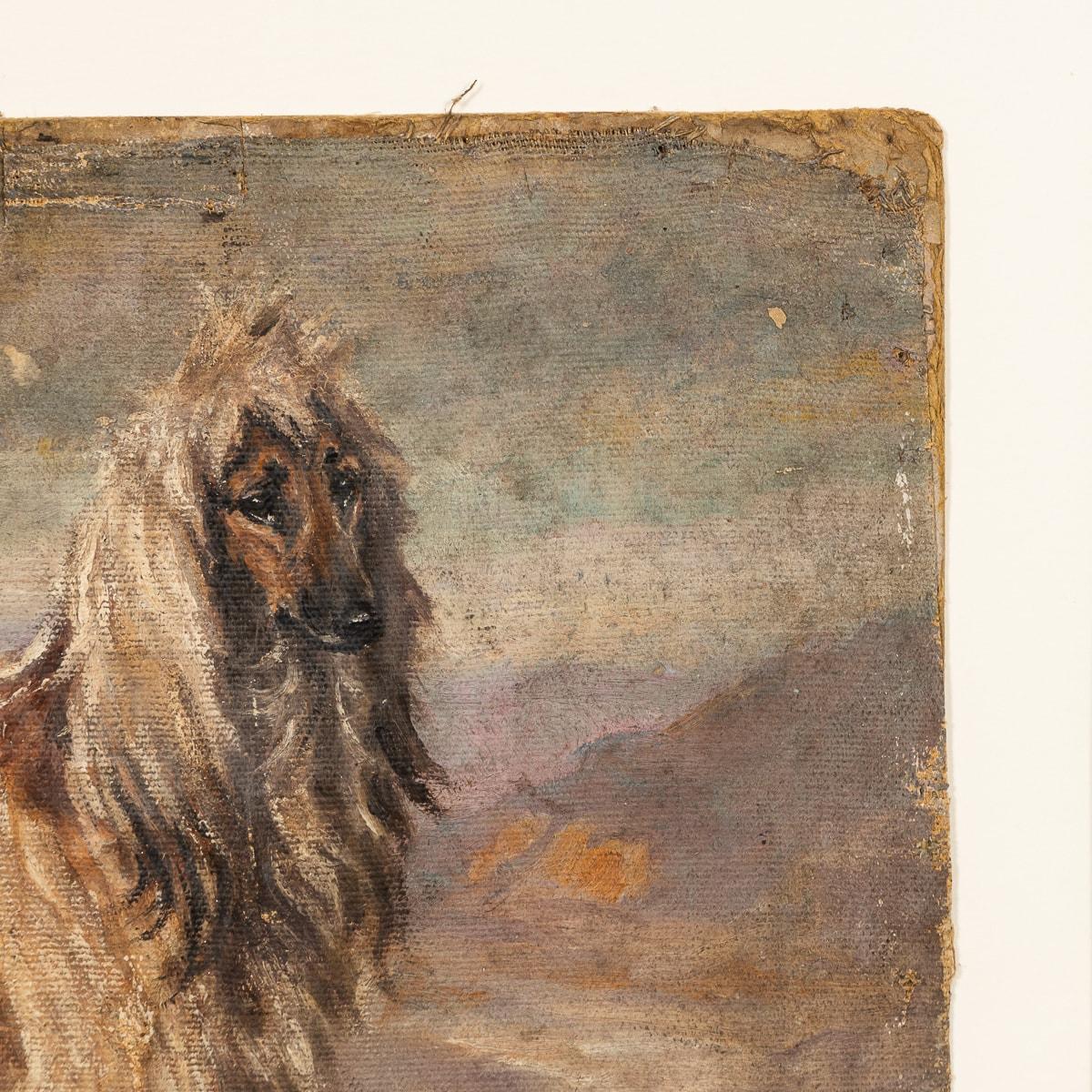 Country 20th Century Framed Afghan Hound Oil On Canvas By Frederick Thomas Daws c.1930