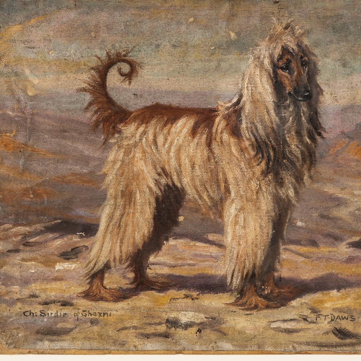 20th Century Framed Afghan Hound Oil On Canvas By Frederick Thomas Daws c.1930 2
