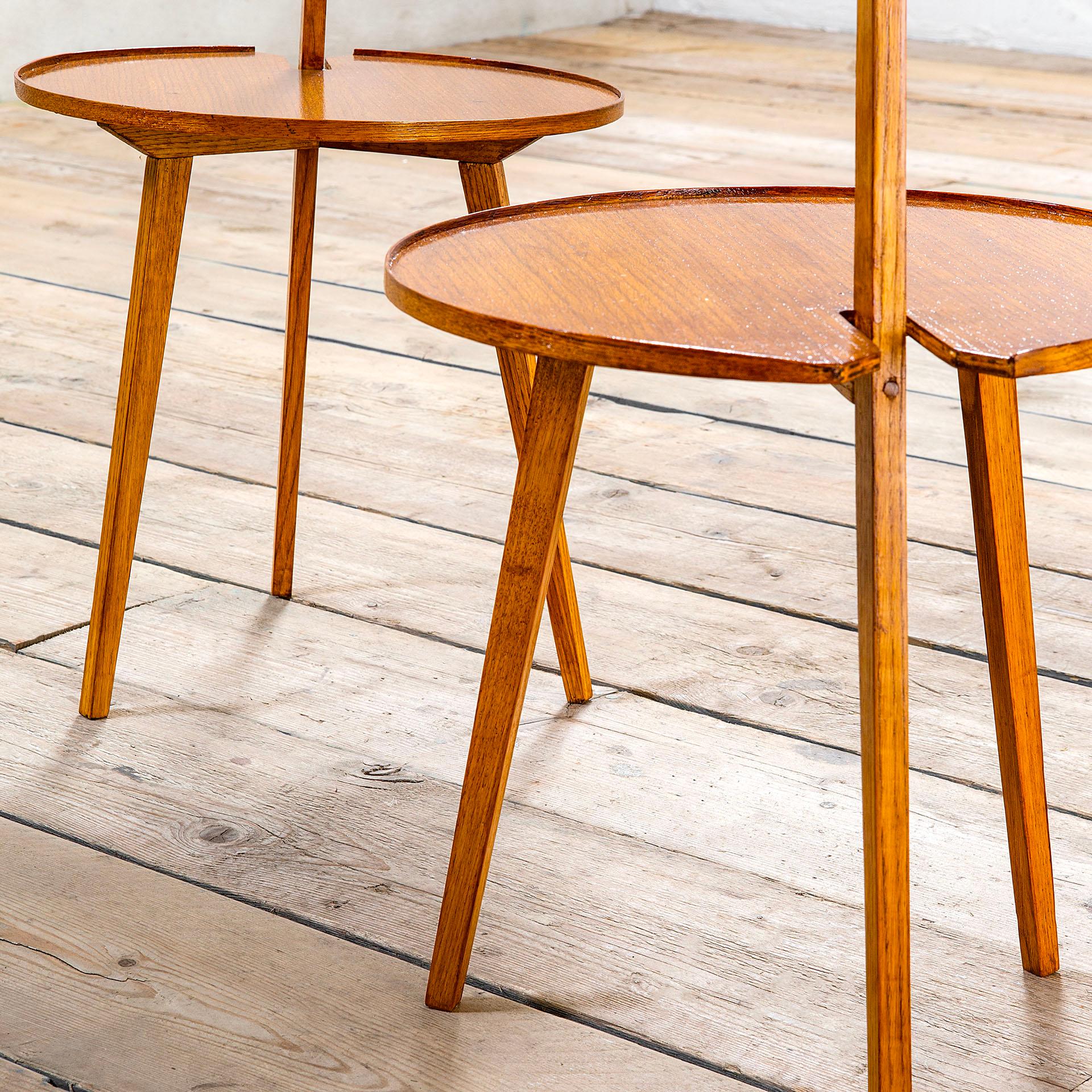 20th Century Franco Albini Pair of TN6 Cicognino Coffee Tables in Wood, 50s For Sale 1