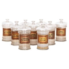 Antique 20th Century French Apothecary Jars