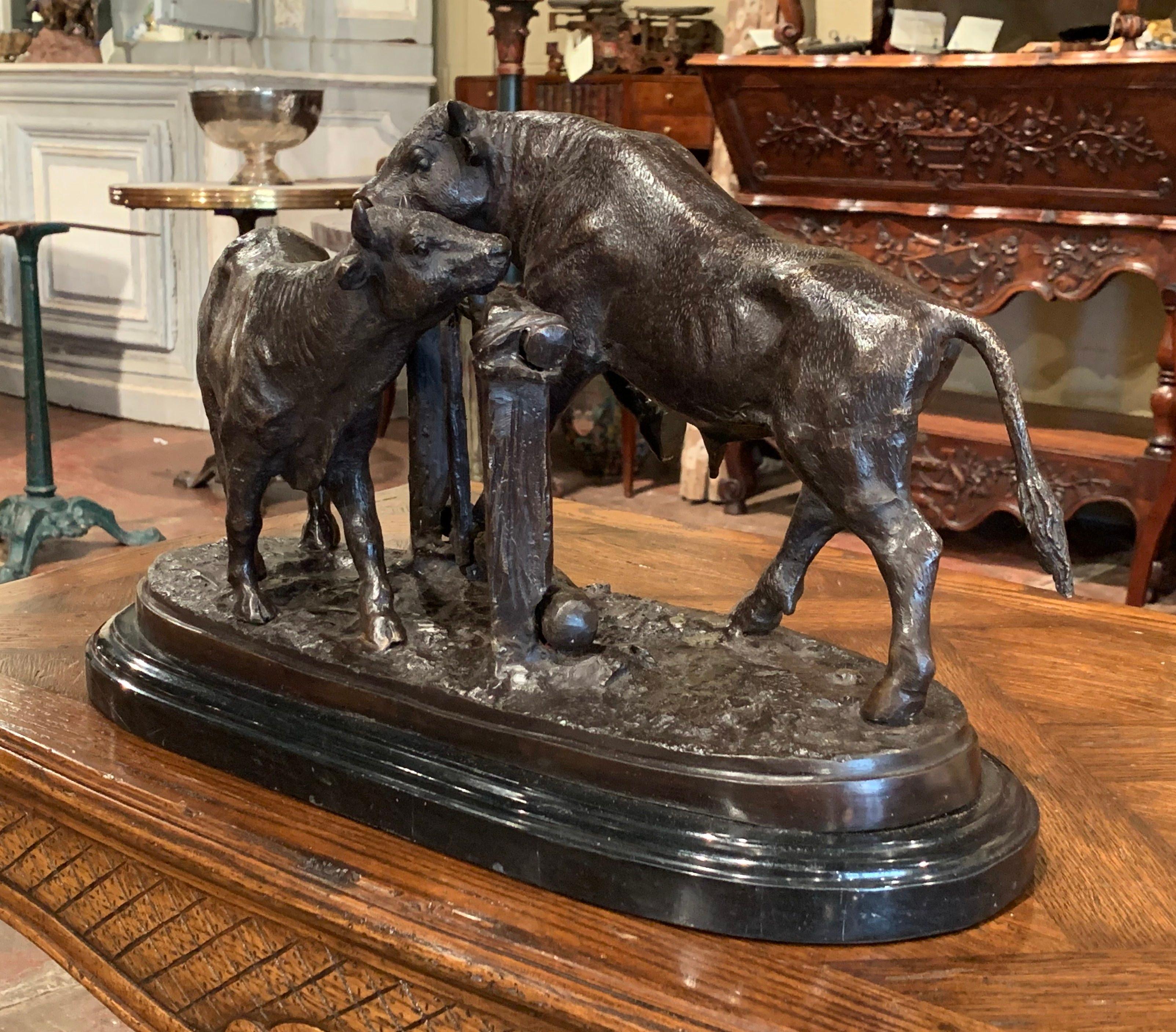 Decorate an office or a study with this large, antique bronze sculpture. Crafted in France circa 1950, the sculpture composition is set upon a sturdy, marble base, which was sourced from 1860s, France. The sculpture depicts a bull and a cow facing