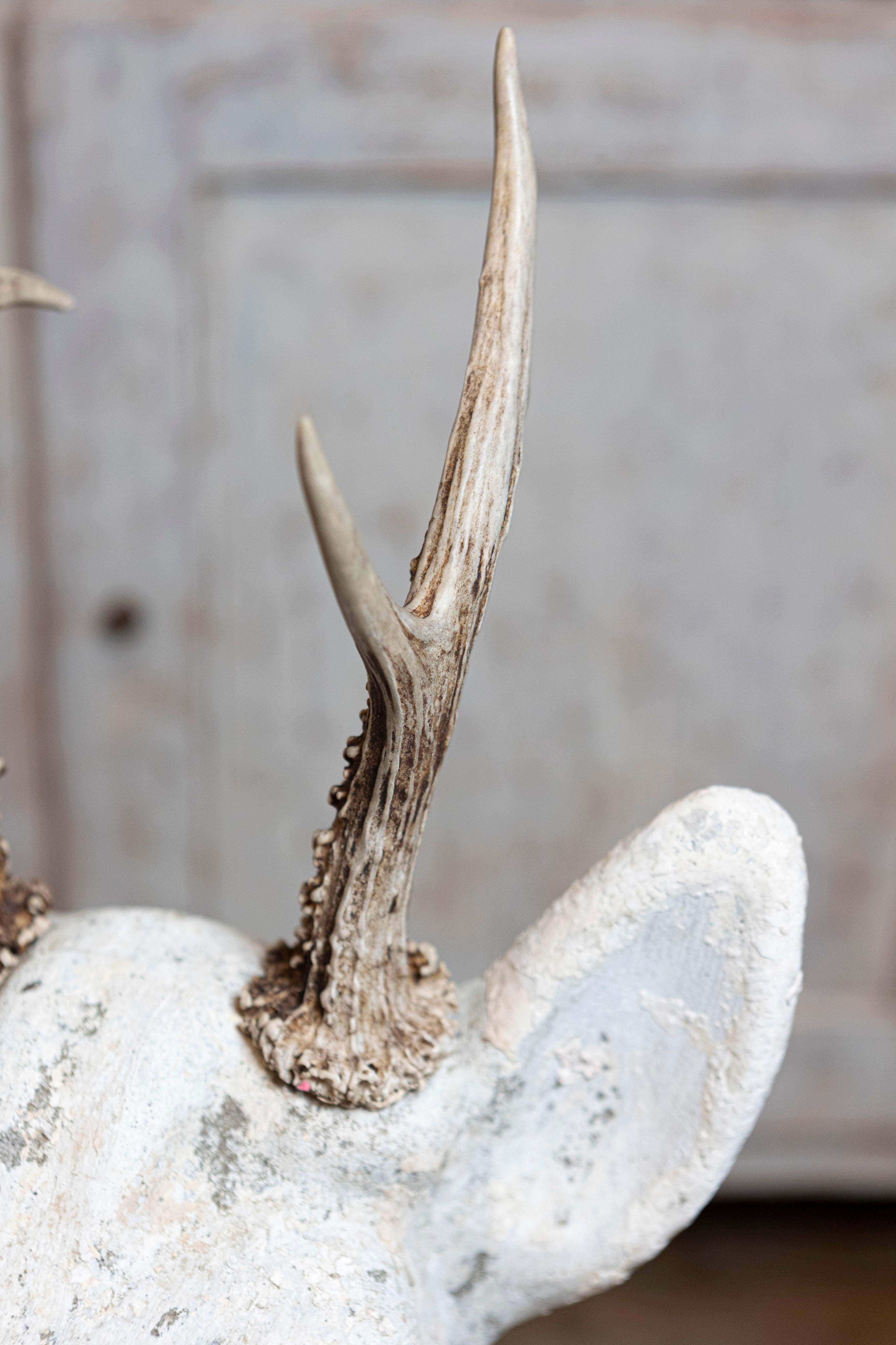 20th Century French Cement Deer For Sale 4