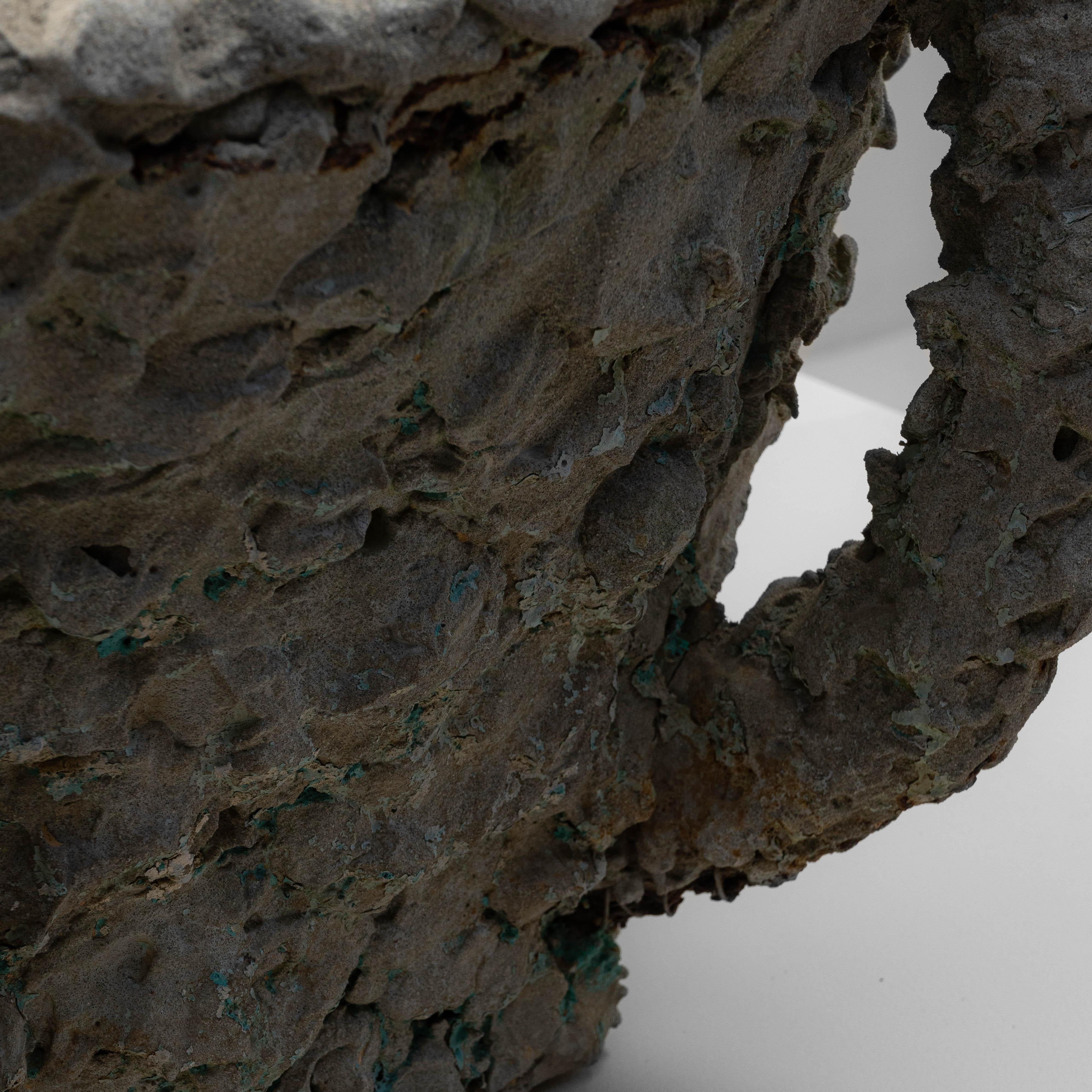 20th Century French Concrete Planter in vendita 4