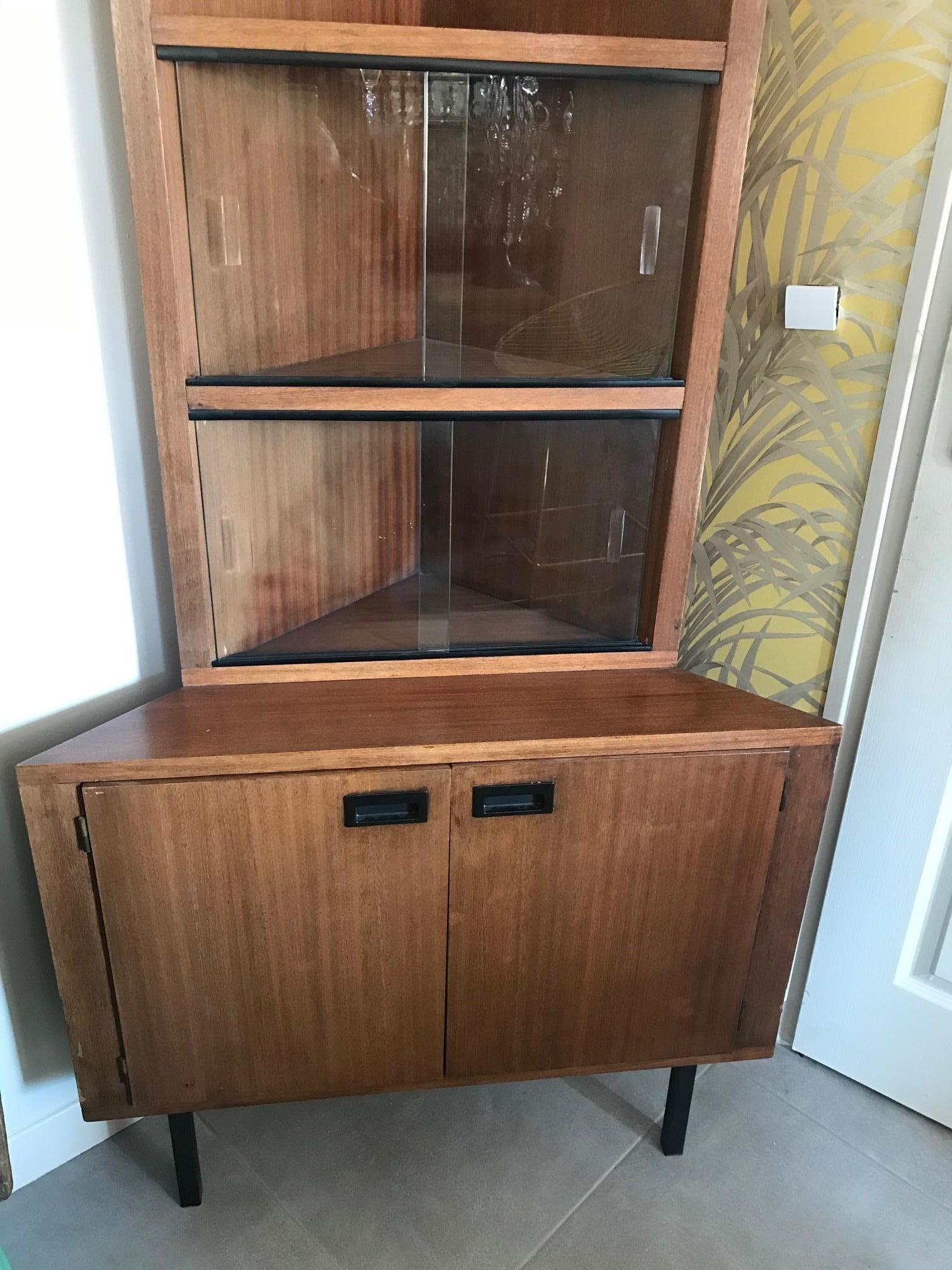 Metal 20th Century French Corner Cabinet, 1960s