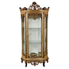 20th Century French Curved-Feet Vitrine