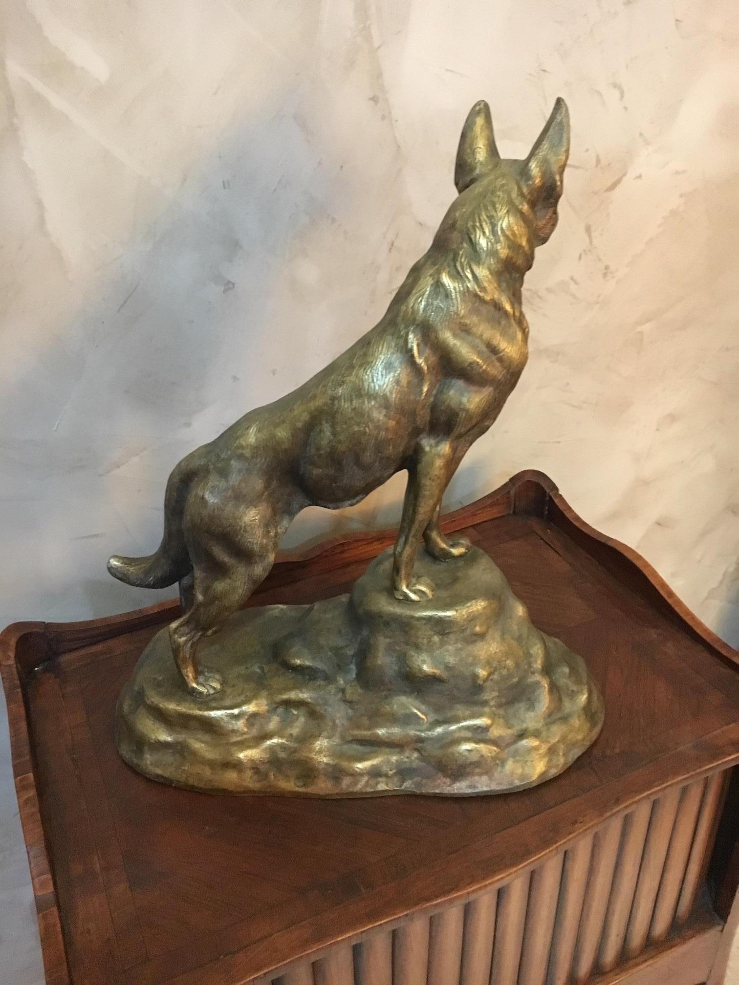 Very nice 20th century, French gilded bronze dog on a rock from the 1940s.
 