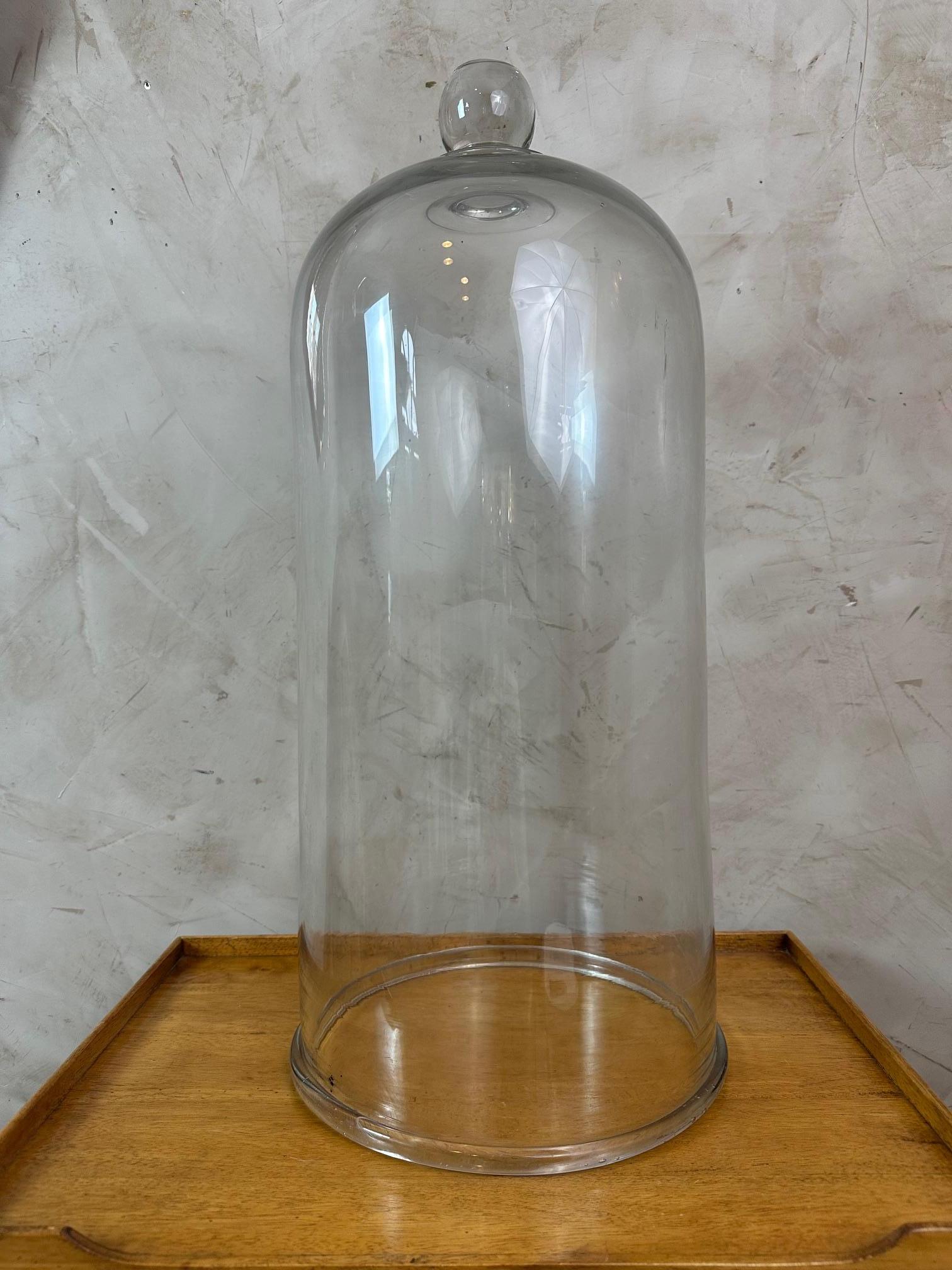 Große französische Laborglocke aus geblasenem Glas des 20. Jahrhunderts, 1940er Jahre (Französisch) im Angebot