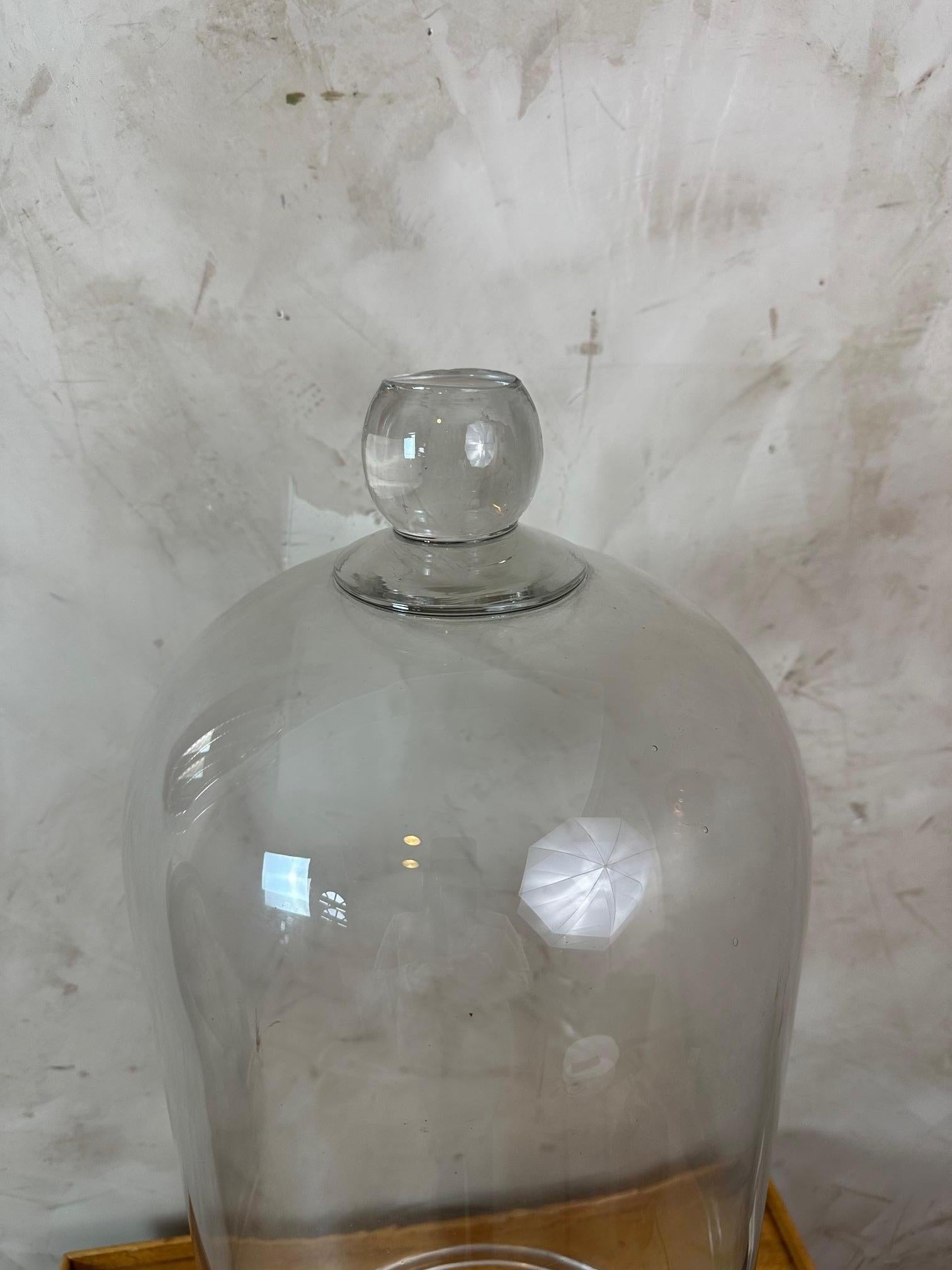 Große französische Laborglocke aus geblasenem Glas des 20. Jahrhunderts, 1940er Jahre (Mitte des 20. Jahrhunderts) im Angebot
