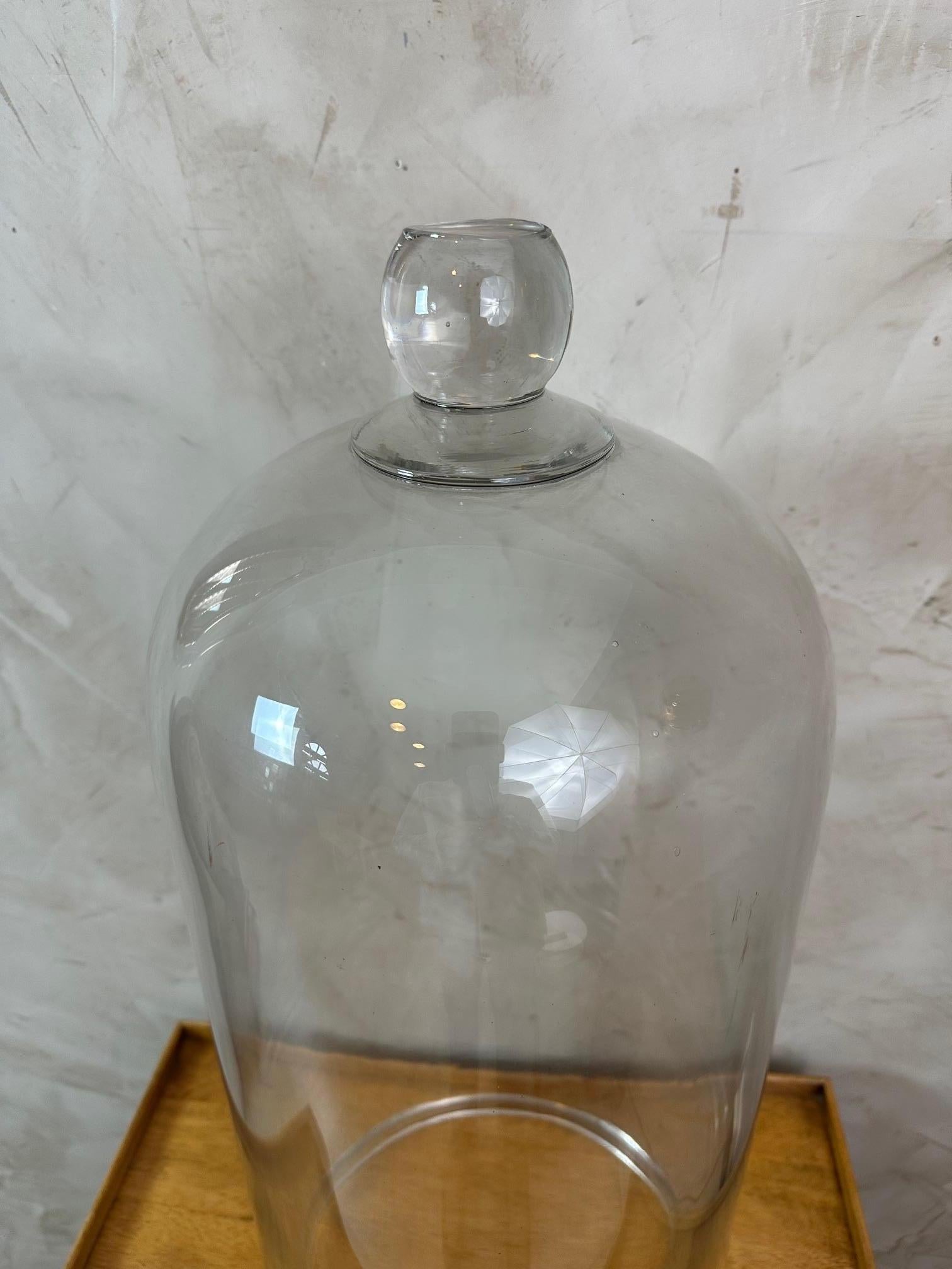 Große französische Laborglocke aus geblasenem Glas des 20. Jahrhunderts, 1940er Jahre (Geblasenes Glas) im Angebot