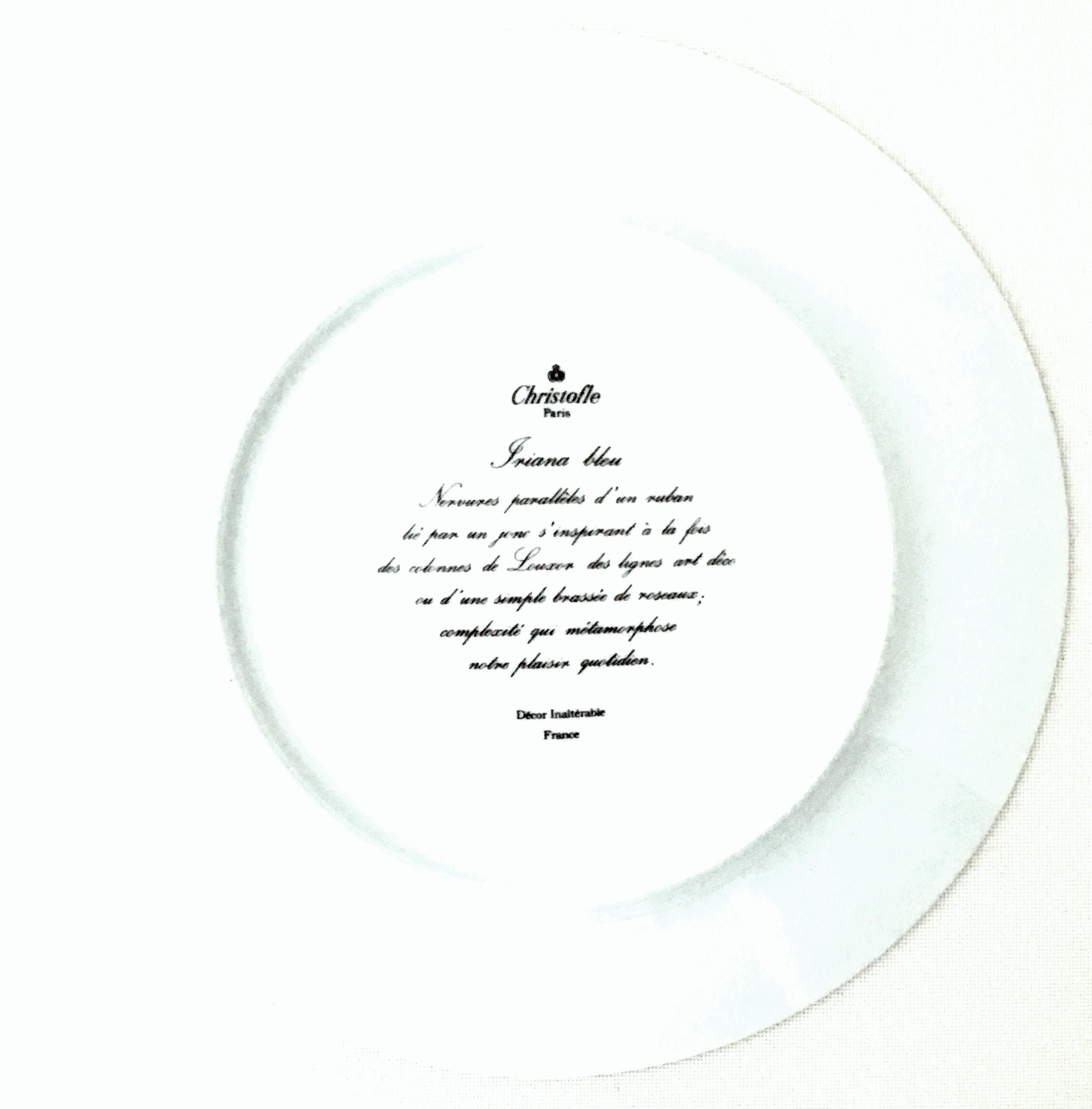French Limoge Dinner Plates 
